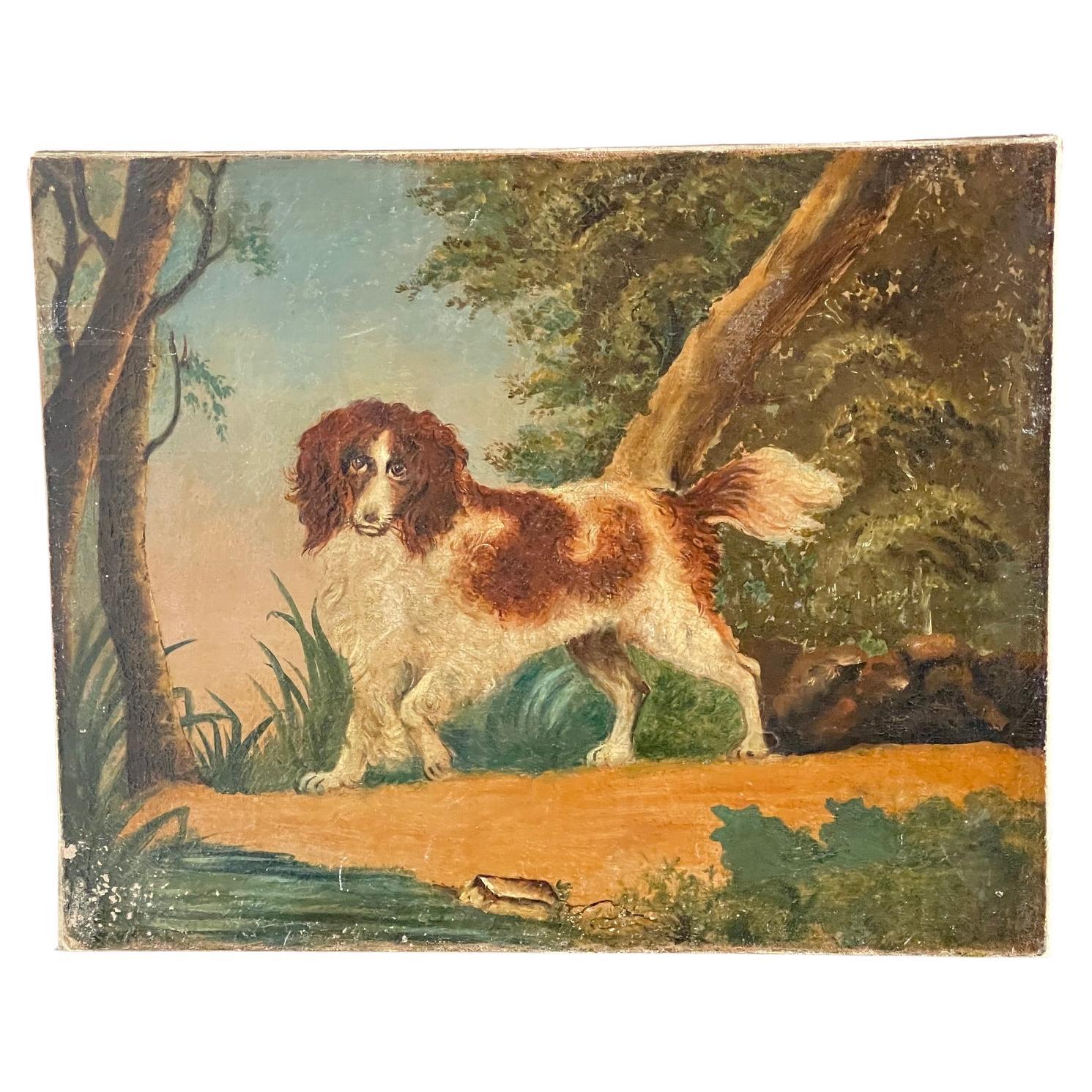 Oil on canvas of a spaniel unframed c1790 For Sale
