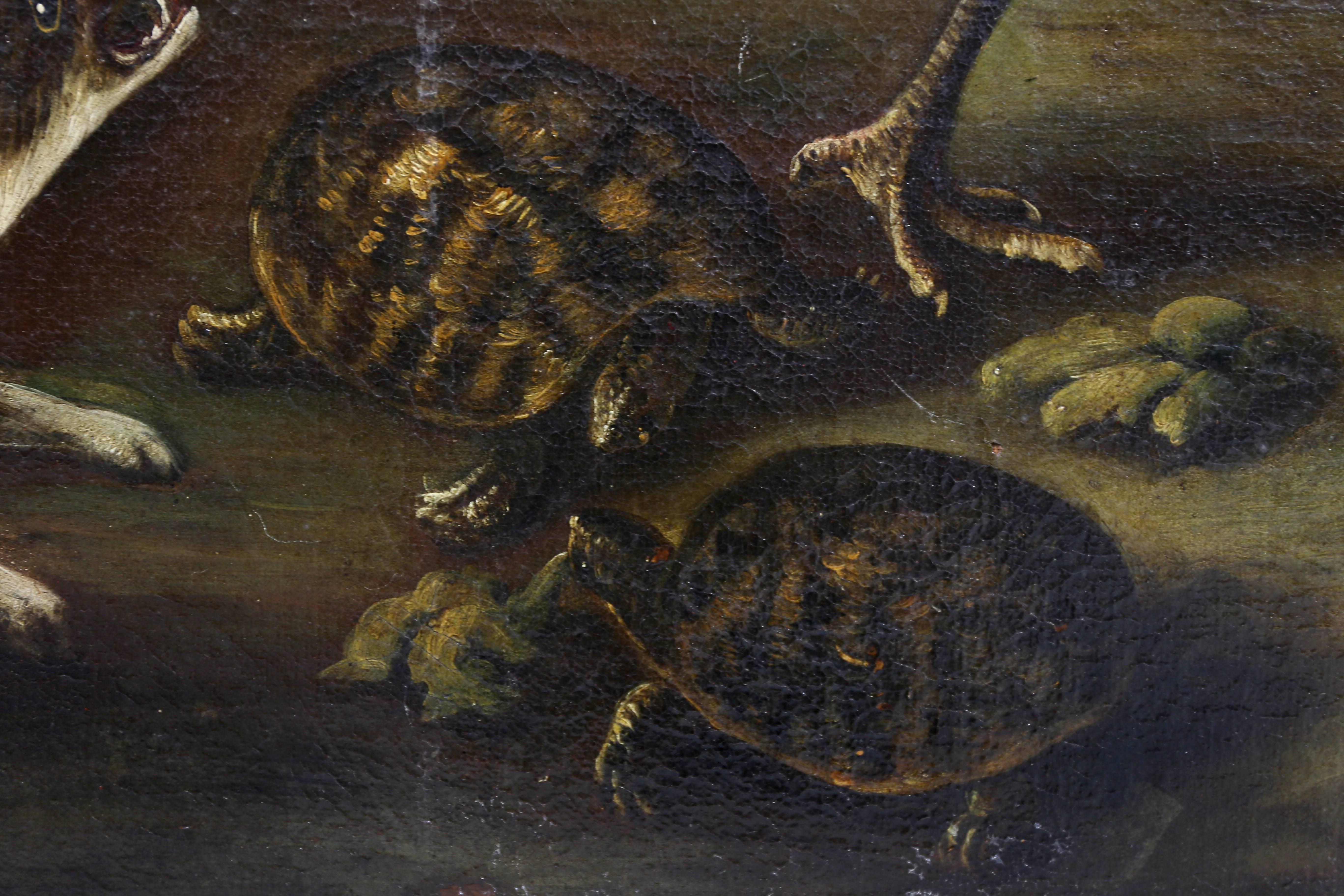 Oil on Canvas Painting Attributed to Hondecoeter 2