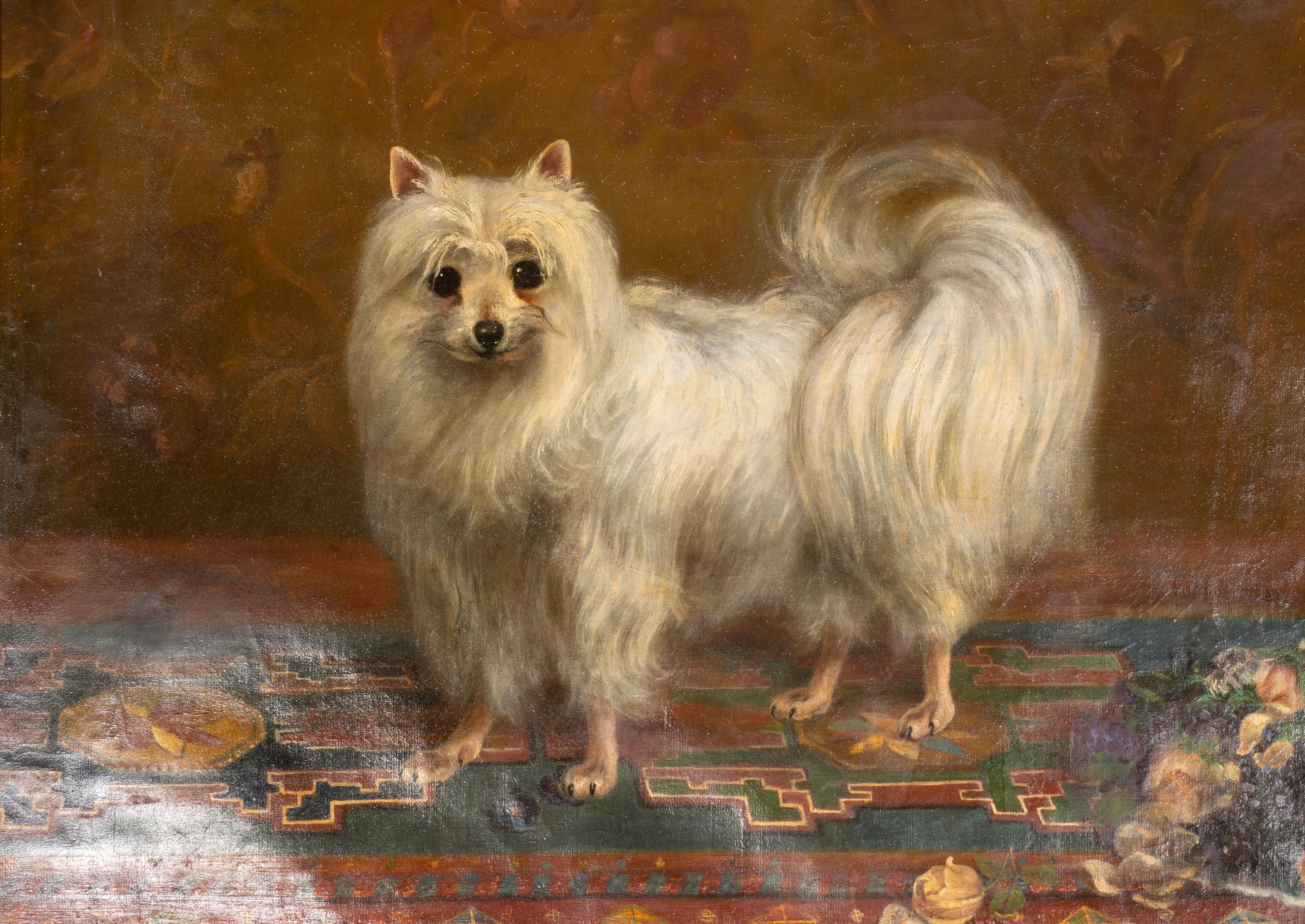 Peinture à l'huile sur toile d'un chien Seidenspitz en vente 4