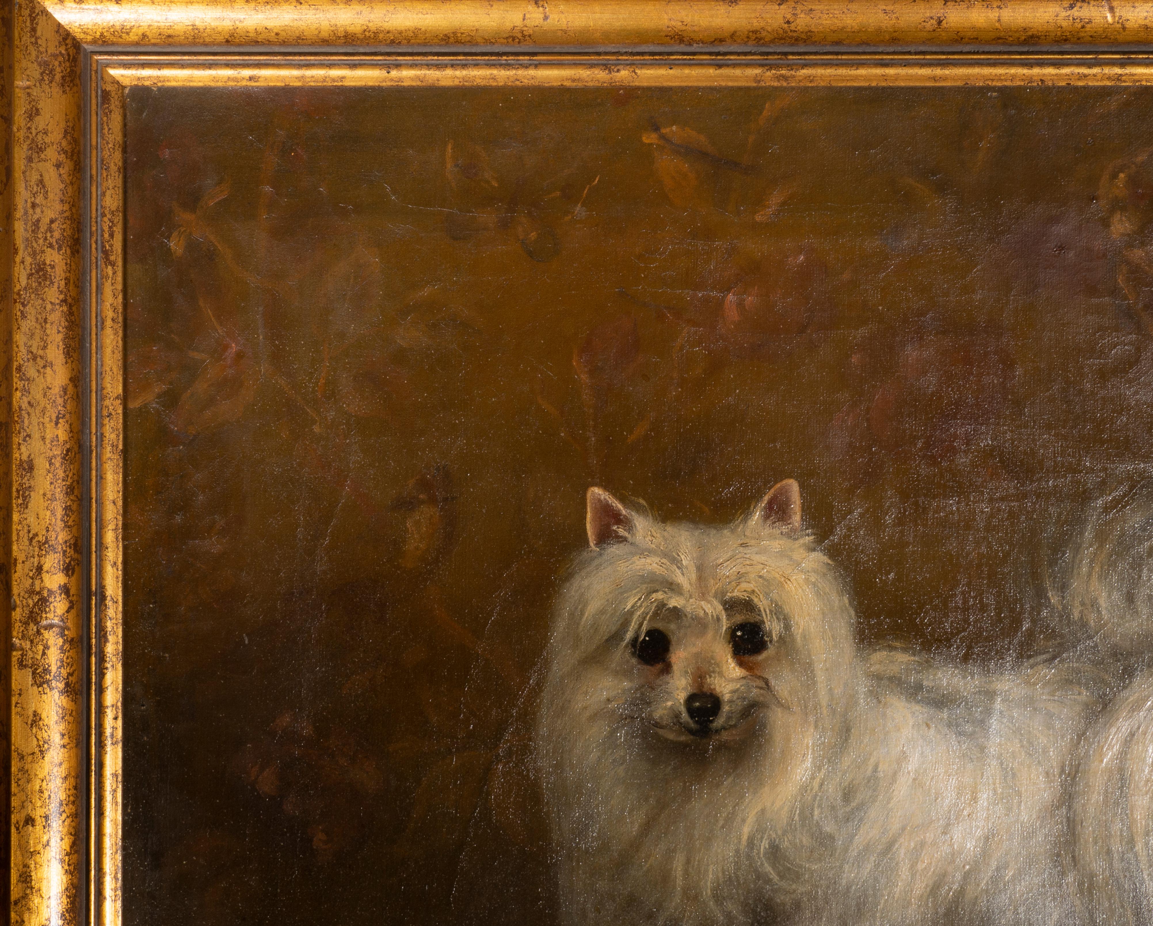 Peinture à l'huile sur toile d'un chien Seidenspitz en vente 7