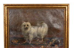 Oil on Canvas Painting of a Seidenspitz Dog