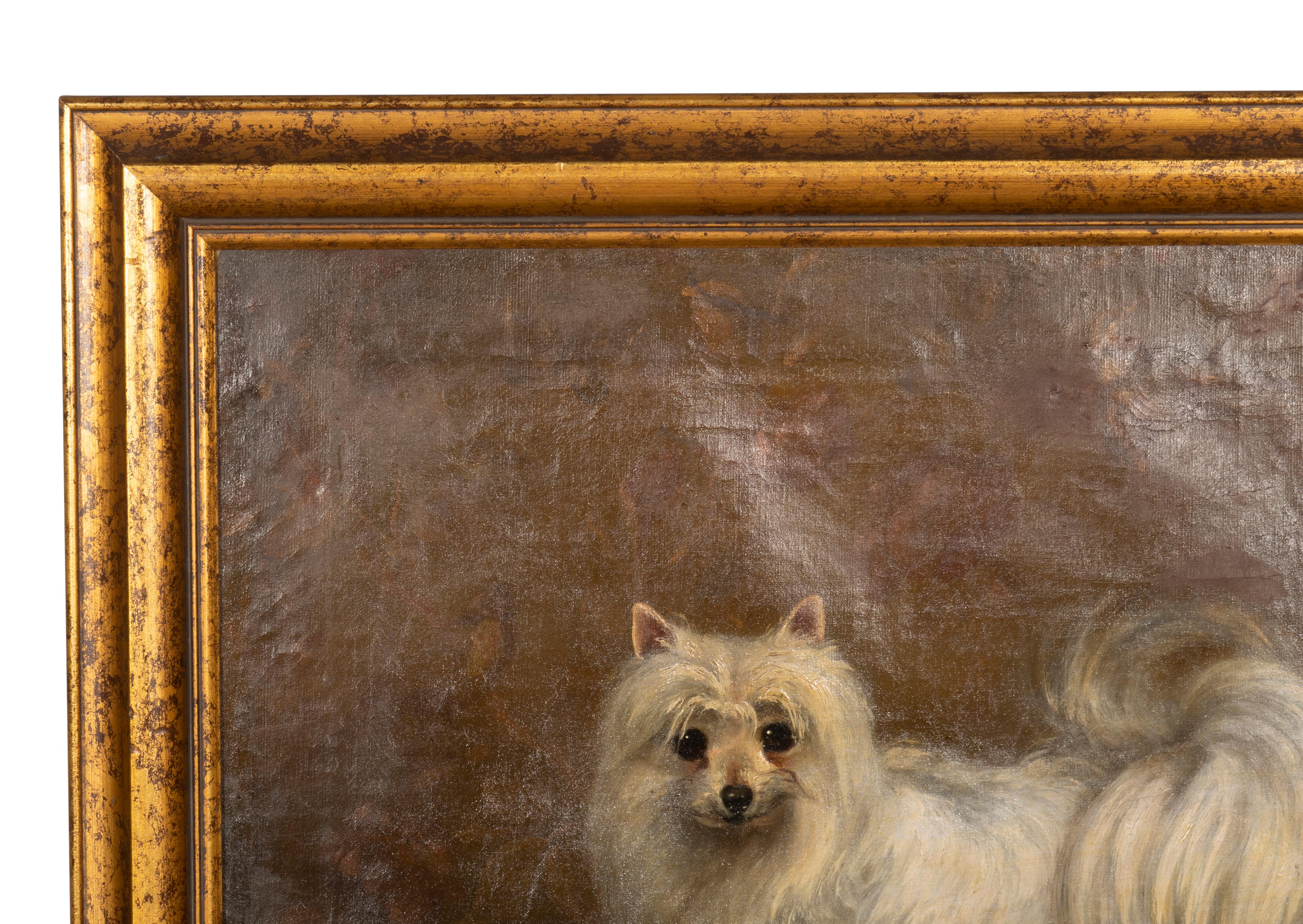 German Oil on Canvas Painting of a Seidenspitz Dog For Sale