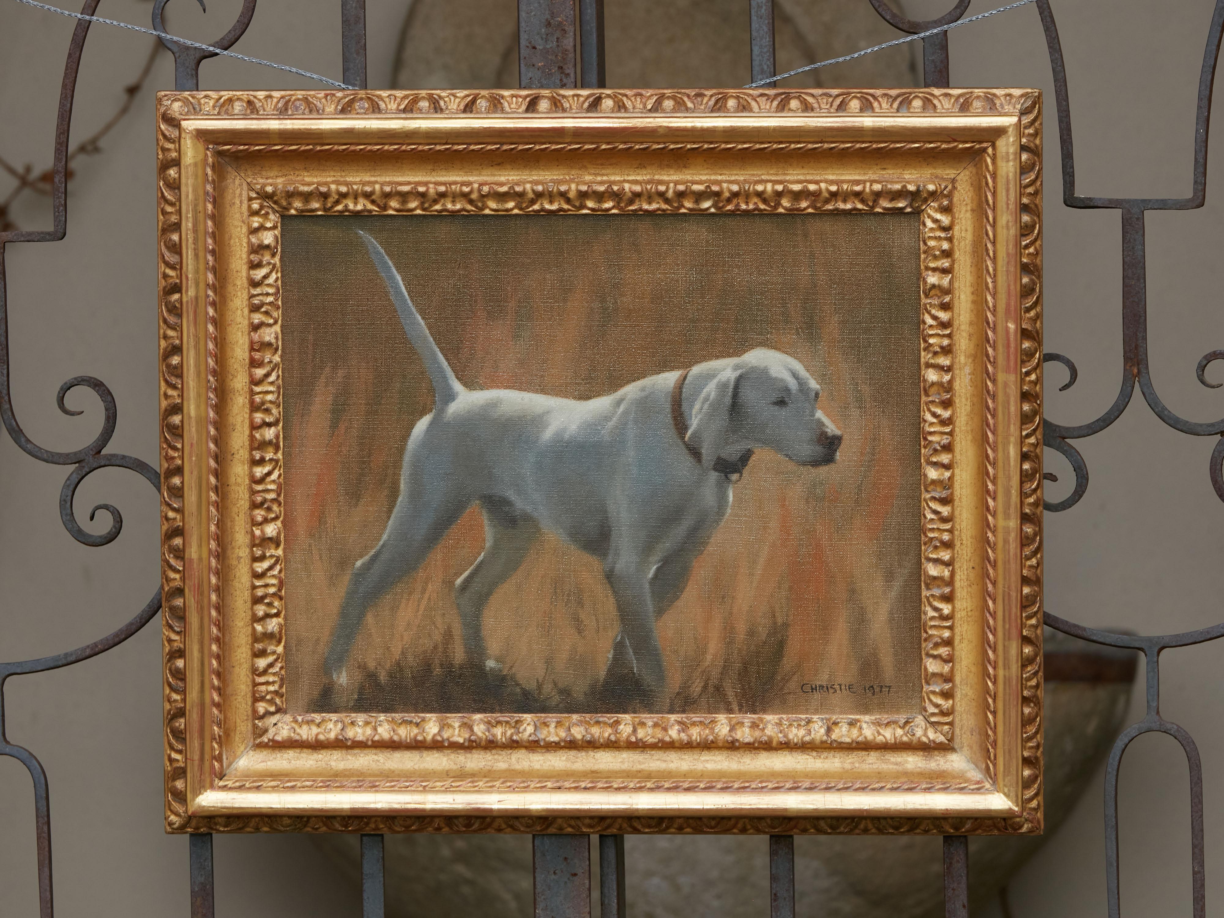 An oil on canvas painting from the 20th century depicting a sporting dog and signed Christie. Created during the third quarter of the 20th century, this horizontal oil on canvas painting features a close-up view of a white sporting dog. Setting the