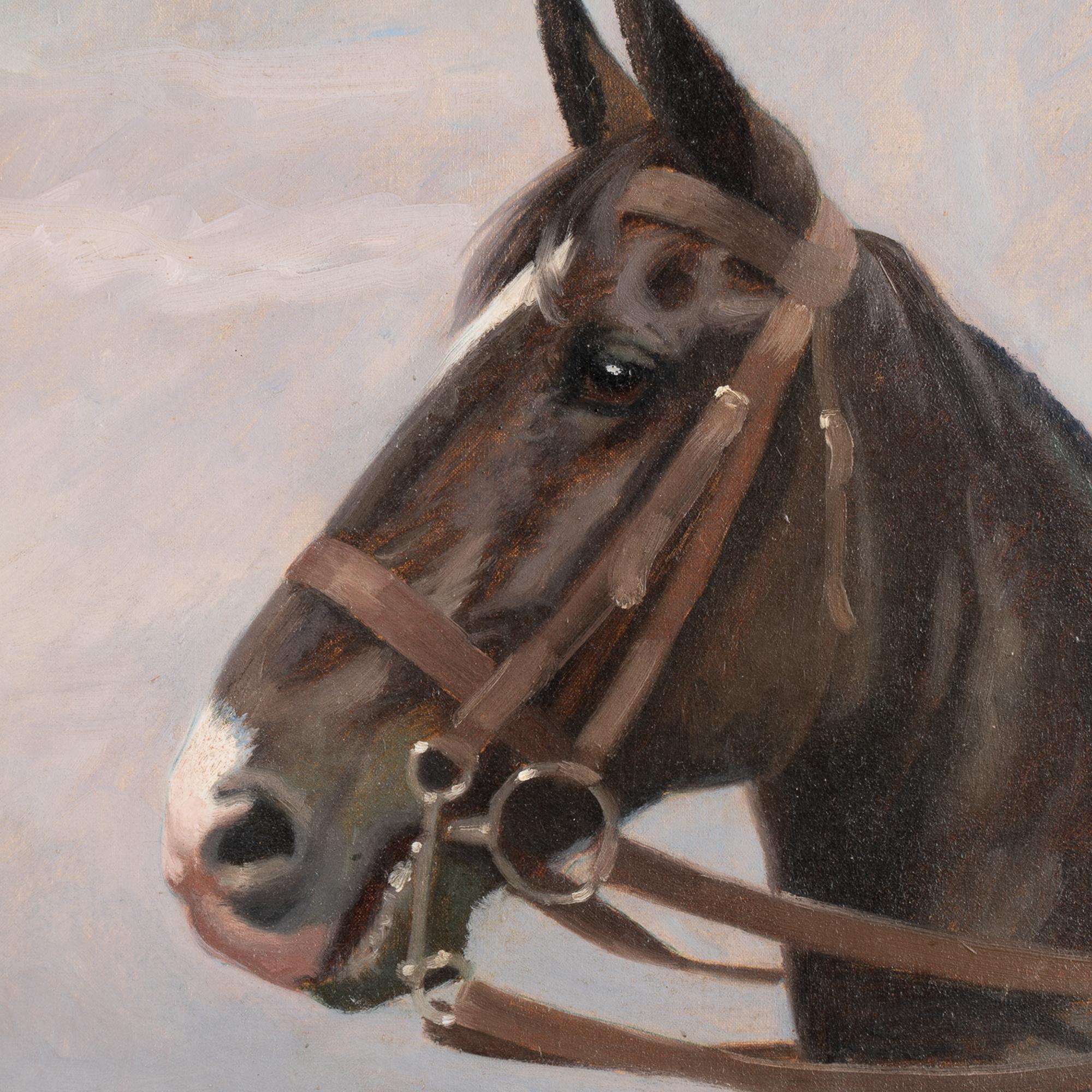 Danish Oil on Canvas Painting of Black Horse by Adolf Heinrich-Hansen Signed circa 1920