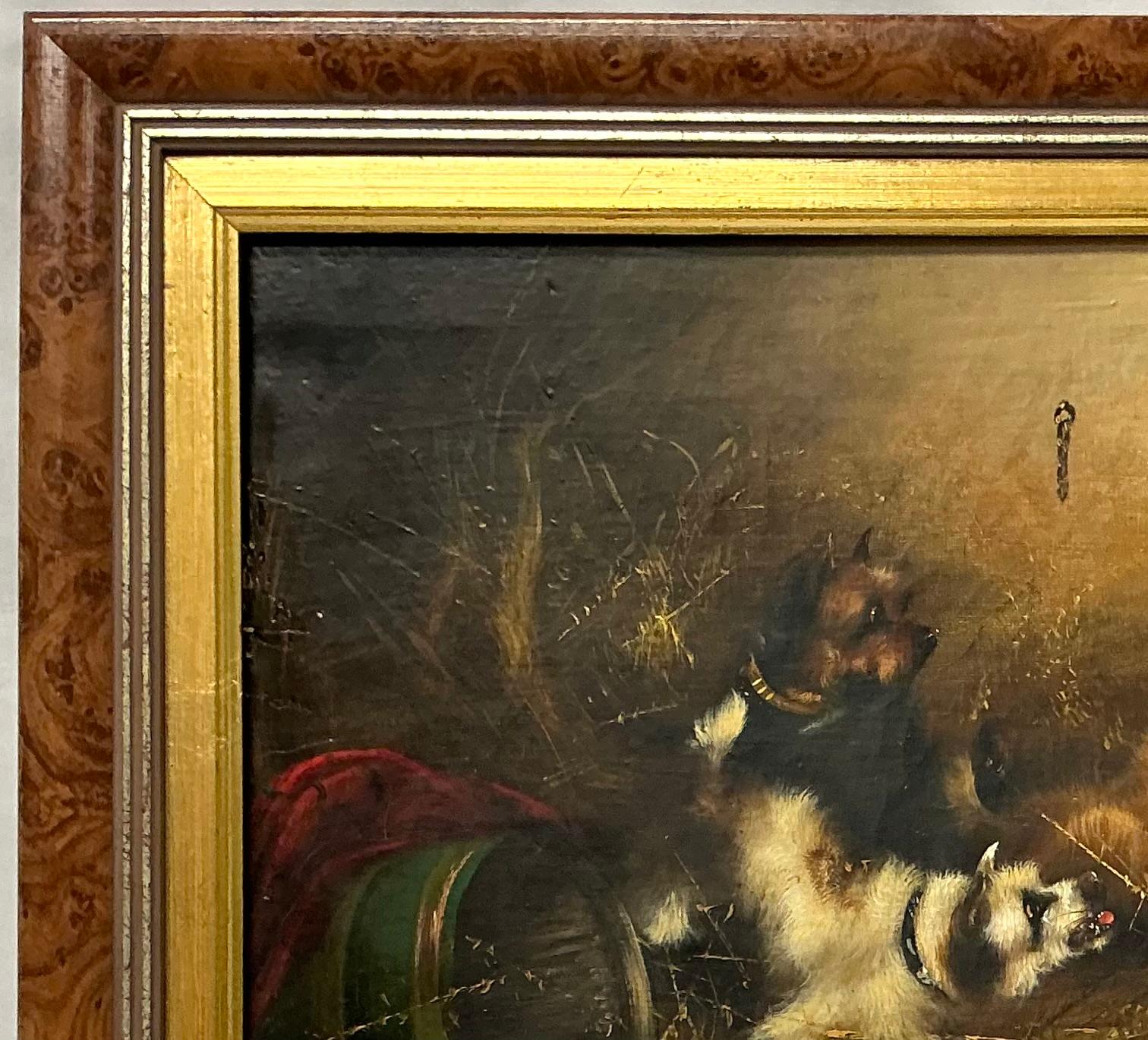 19. Jahrhundert Öl auf Leinwand (unterfüttert) Gemälde von Frank Cassell, das eine Gruppe Terrier darstellt, die spielerisch miteinander kämpfen. Cassell war bekannt für seine Tierbilder, insbesondere für die im viktorianischen England beliebten