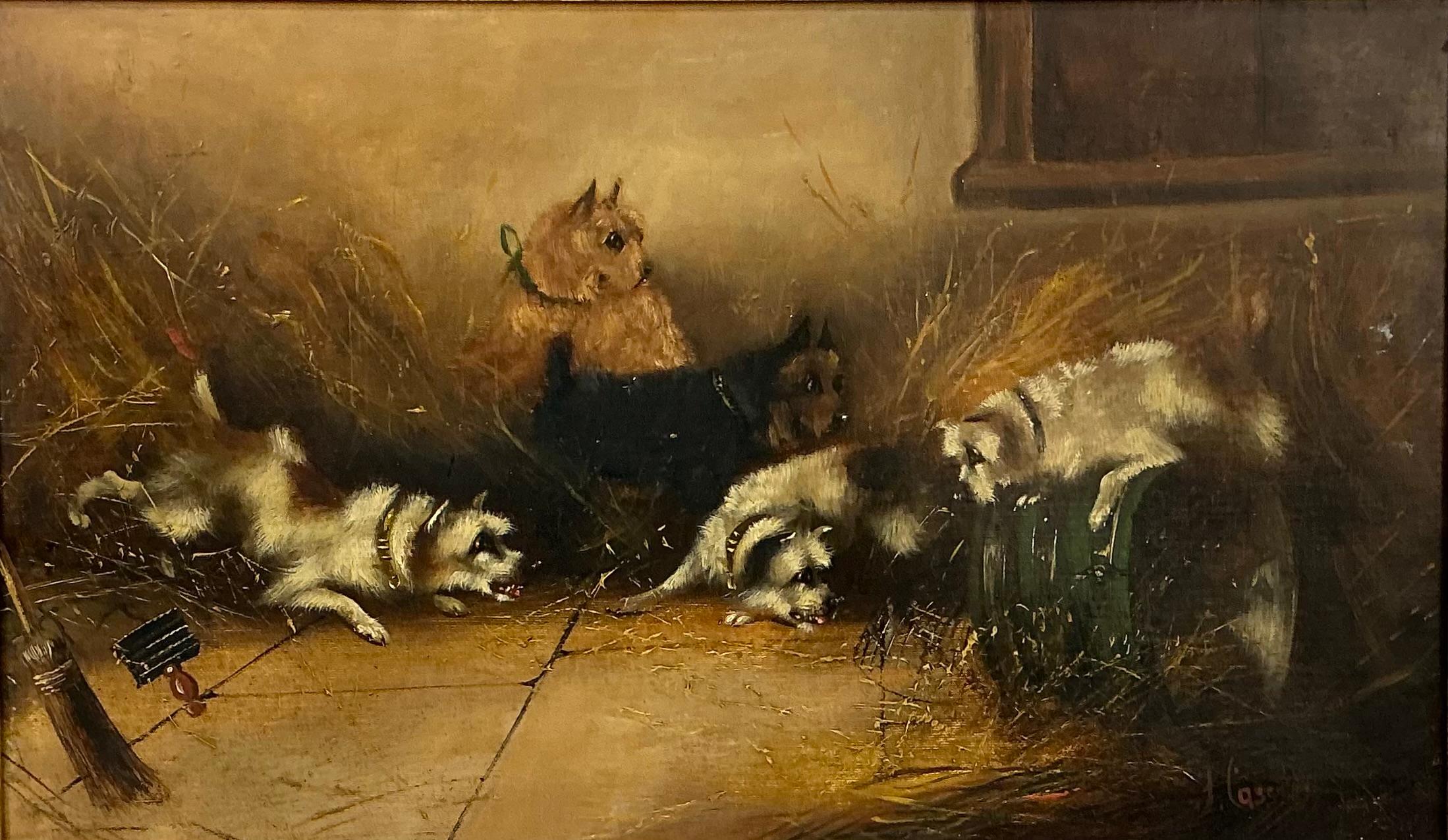 XIX secolo Quadro olio su tela, 