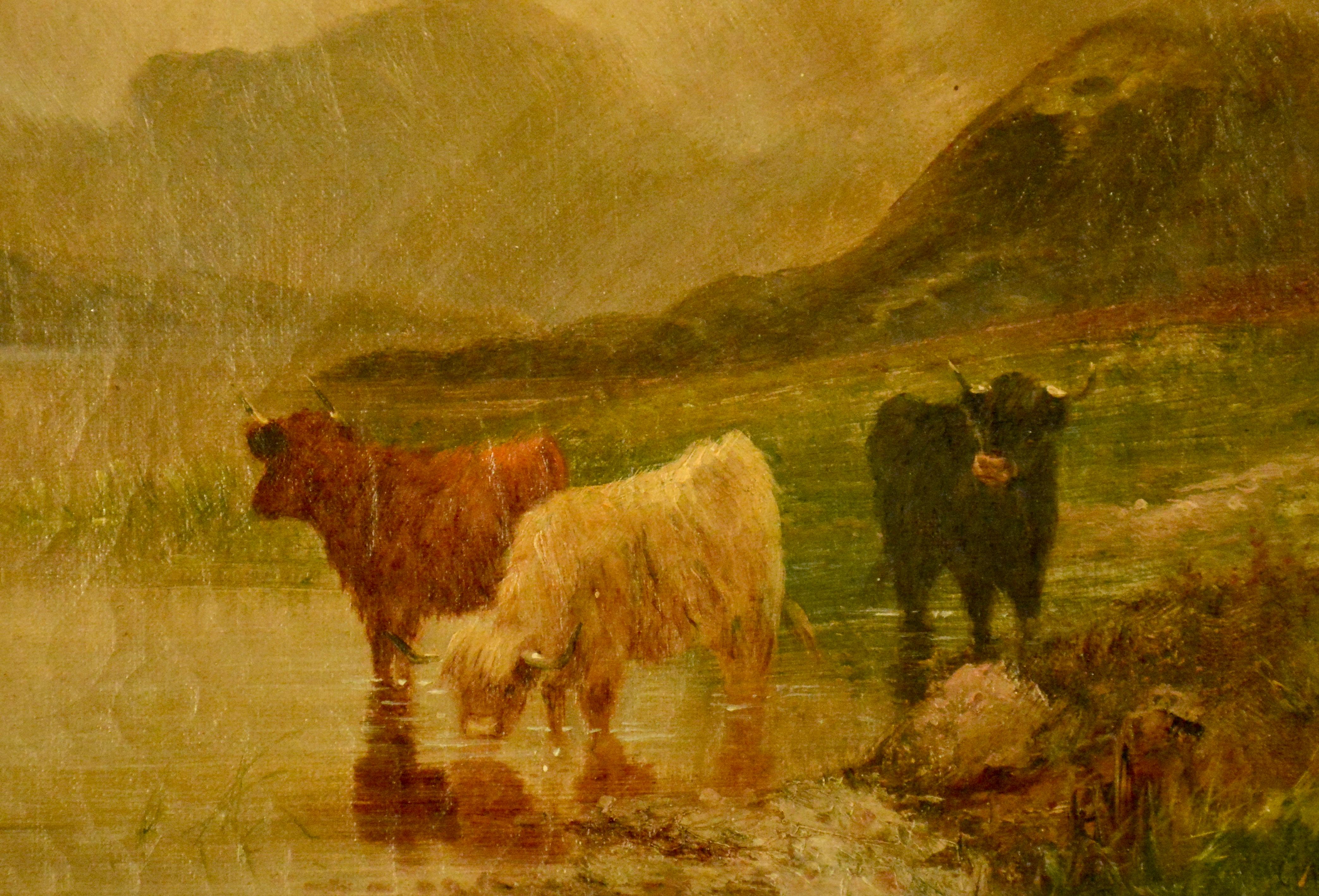 Hand-Painted Oil on Canvas, Scottish Cattle