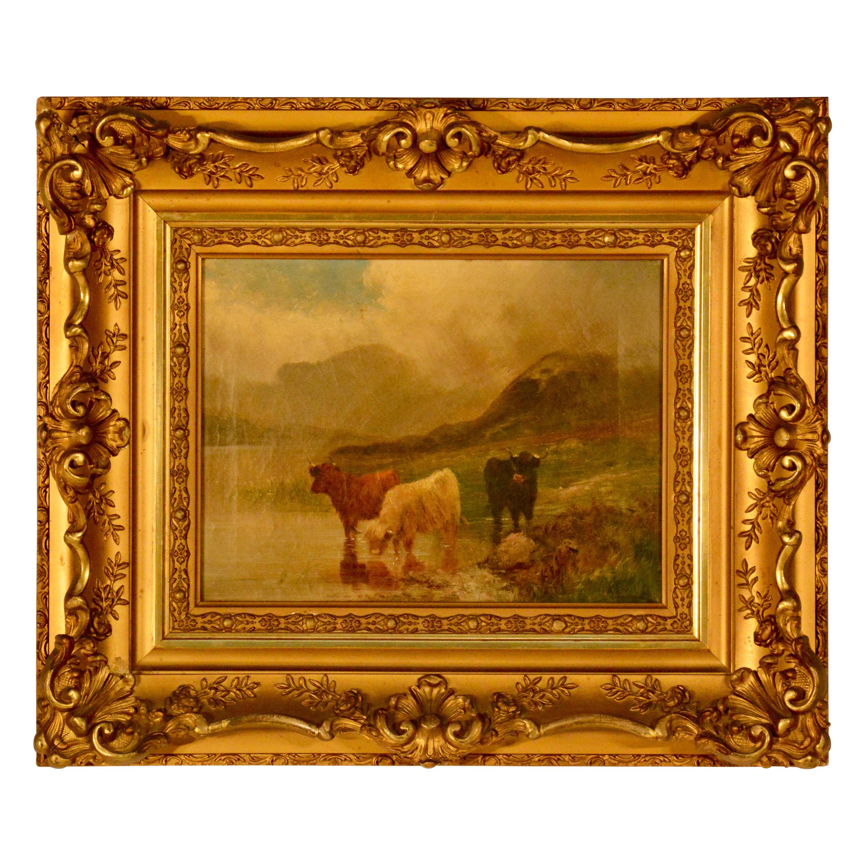 Oil on Canvas, Scottish Cattle
