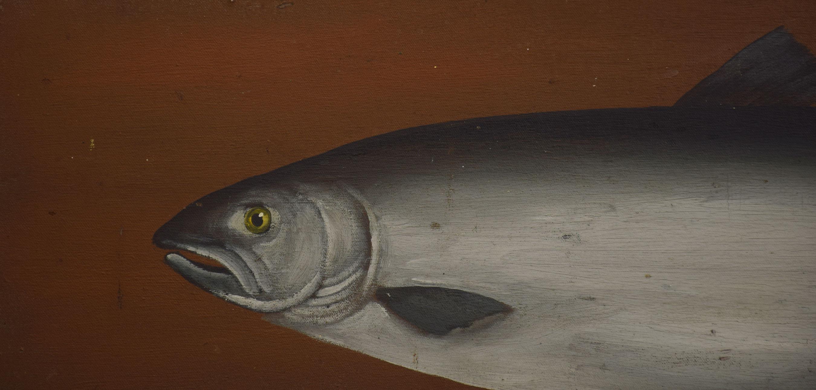 Study of a salmon, oil on canvas, mounted on a board.
Dimensions
Height 14 Inches
Width 41.5 Inches
Depth 1 Inches.