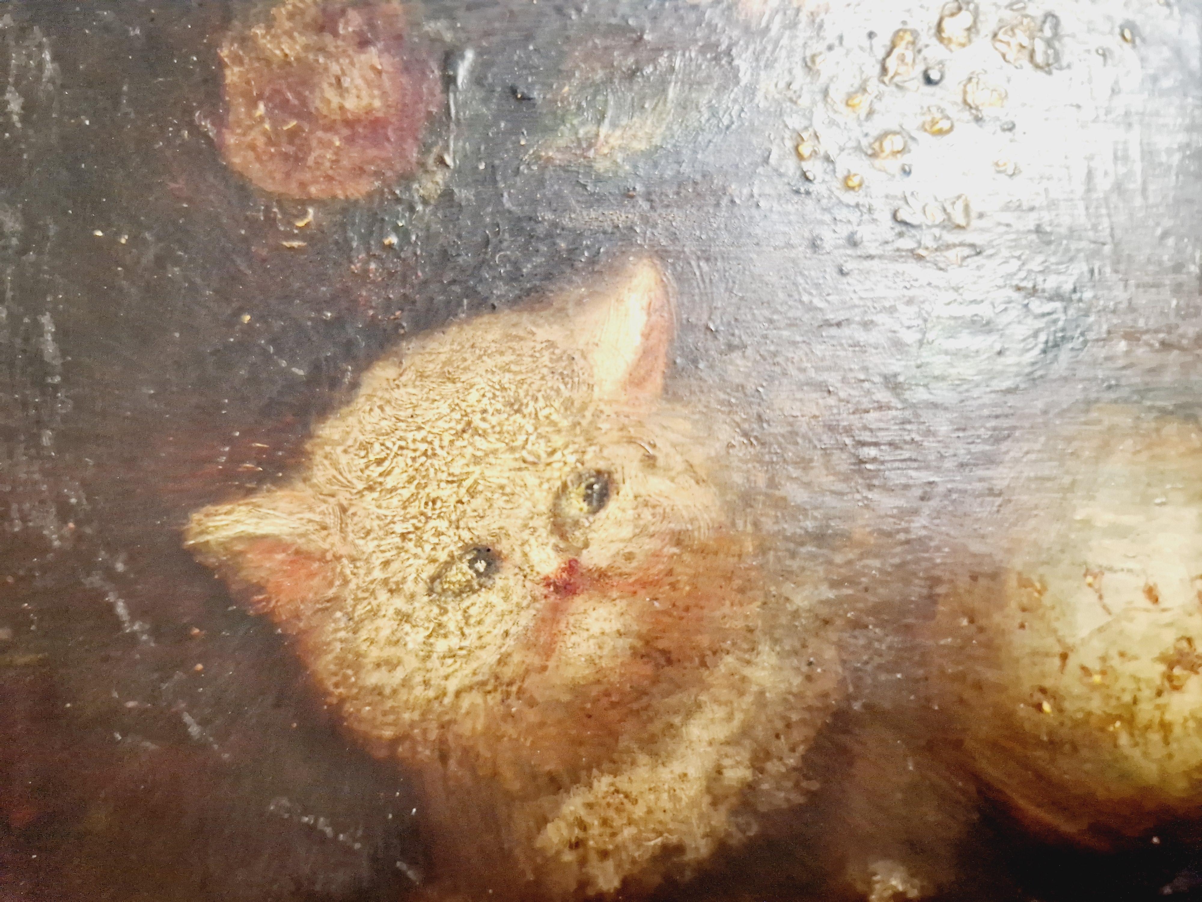 Pintura al óleo Gatitos Siglo XIX Firmado COSTA Victoriano tardío en venta