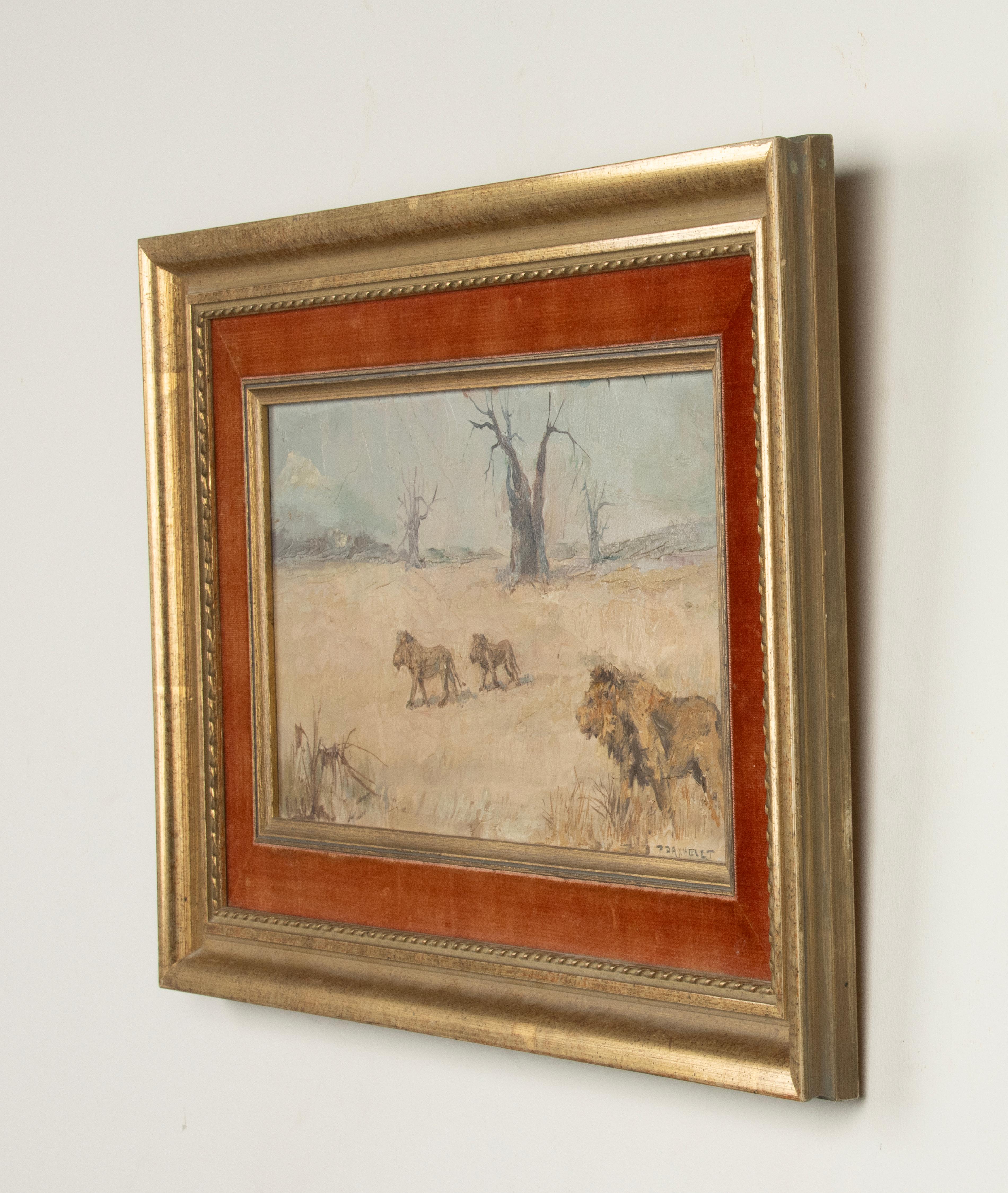 Mid-20th Century Oil Painting - Lions in a Savannah Landscape - Paul Daxhelet For Sale