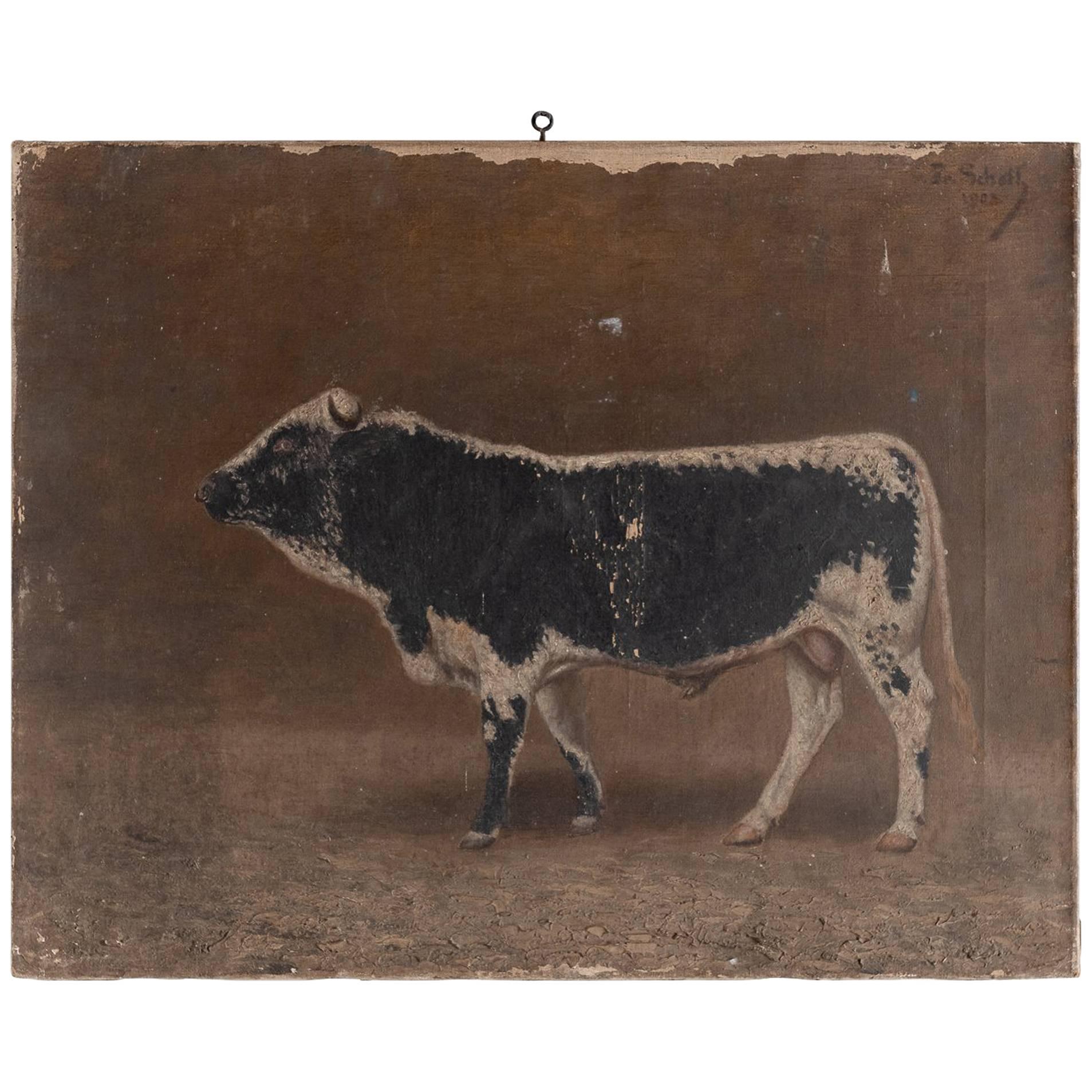 Oil Painting of a Bull, 1903