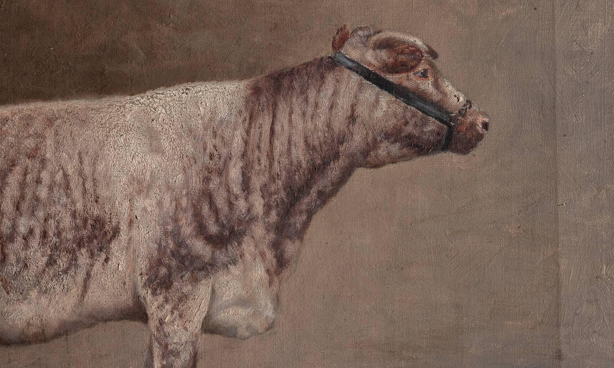 German Oil Painting of a Cow, 1903