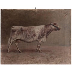 Oil Painting of a Cow, 1903