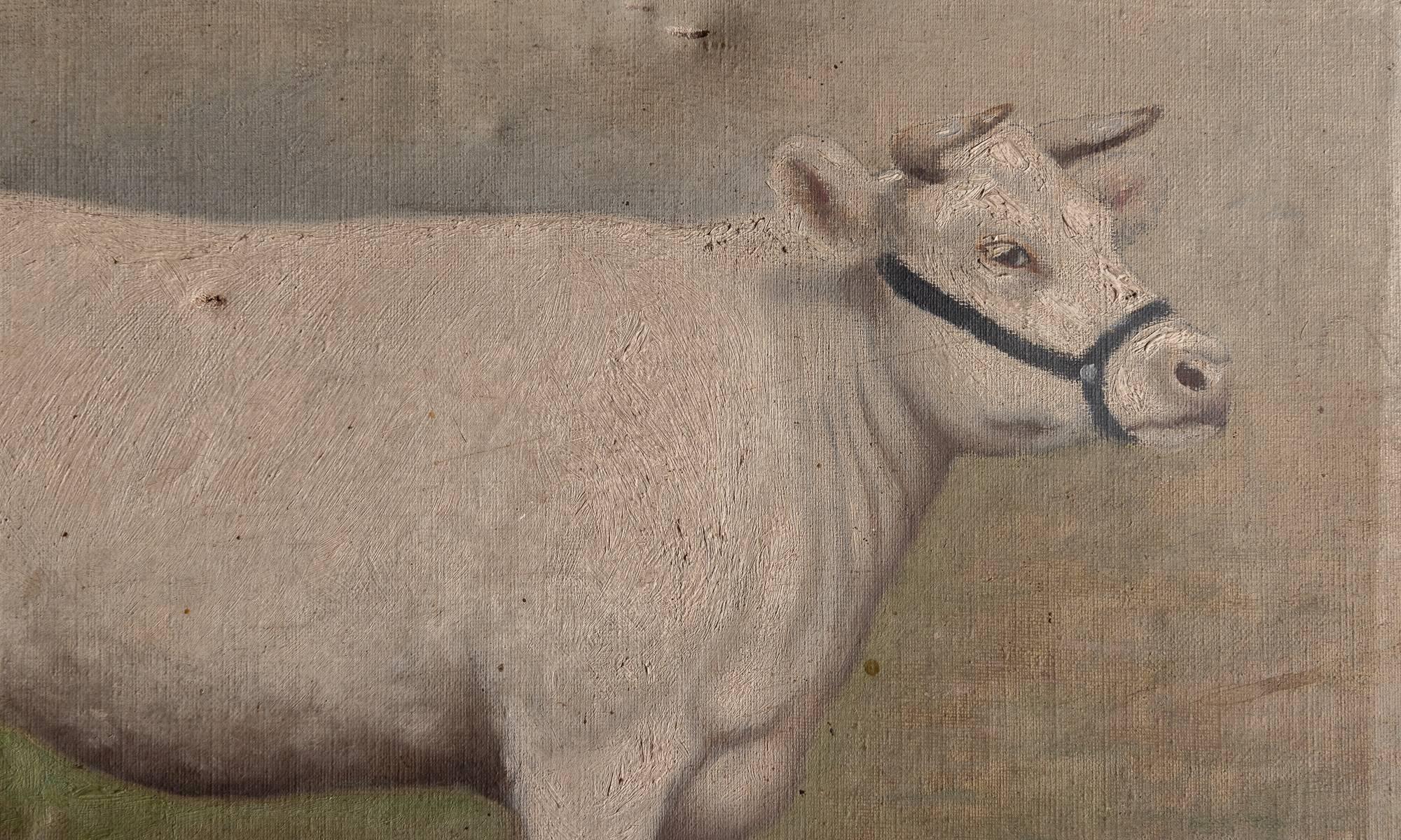 German Oil Painting of a Cow, 1913