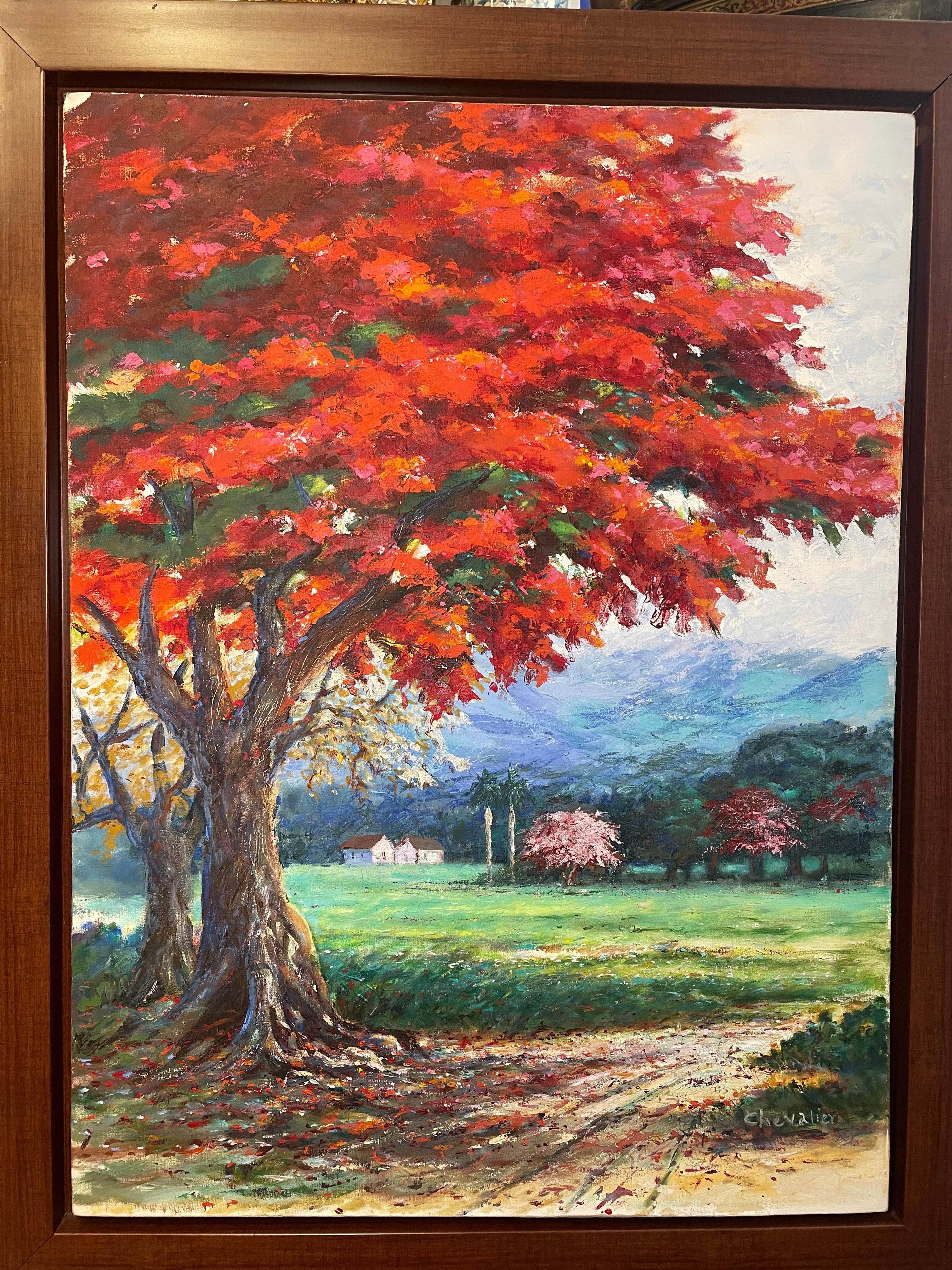 Questo è un dipinto a olio di un albero di Poinciana fiammeggiante o reale di Chevalier. Raffigura un grande albero frondoso di fronte a un grande prato tropicale in un terreno agricolo di Porto Rico. Accanto all'albero c'è un sentiero pieno di