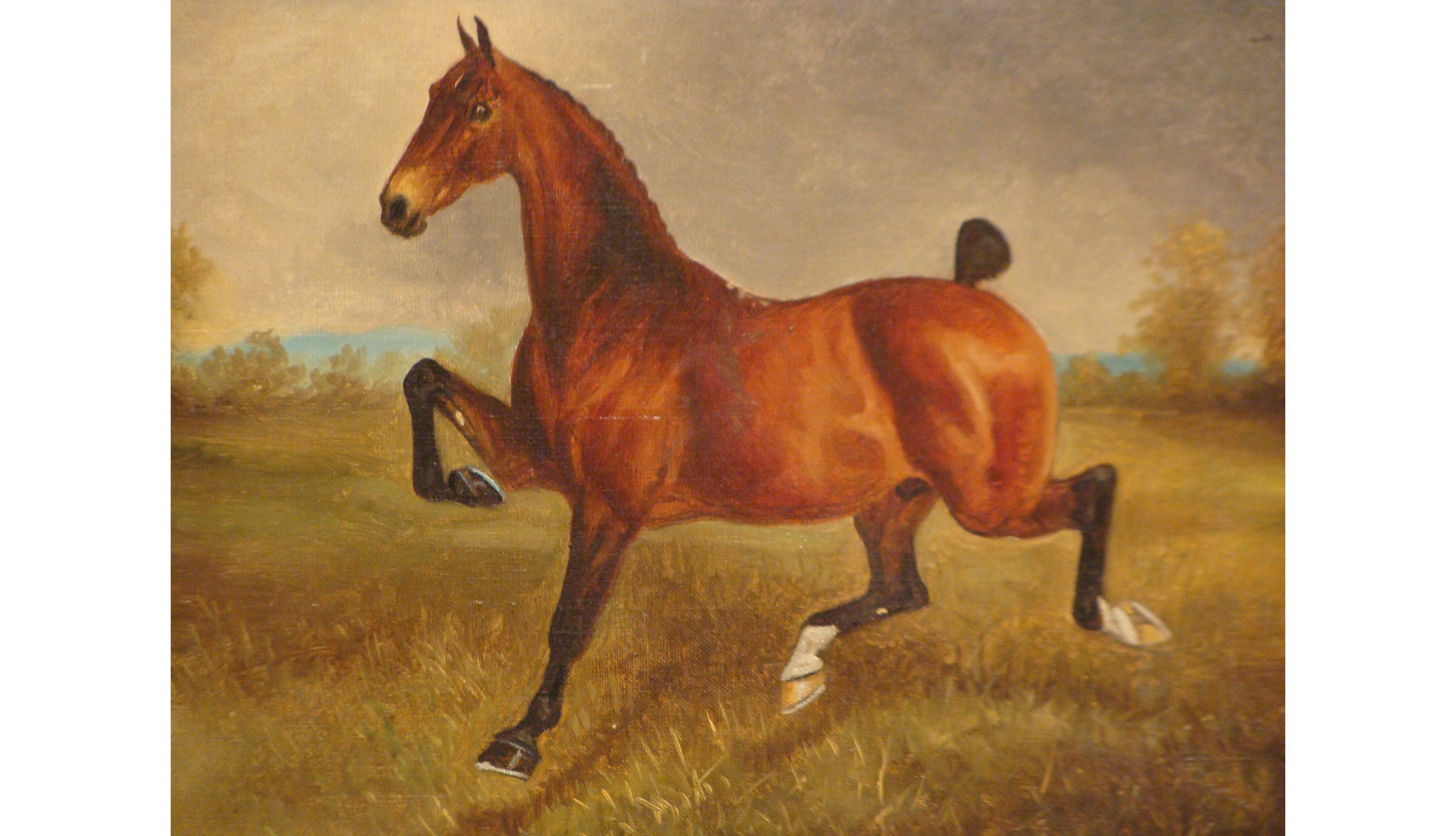 Oil Painting of a Horse by Herbert St John Jones In Good Condition In Lymington, GB