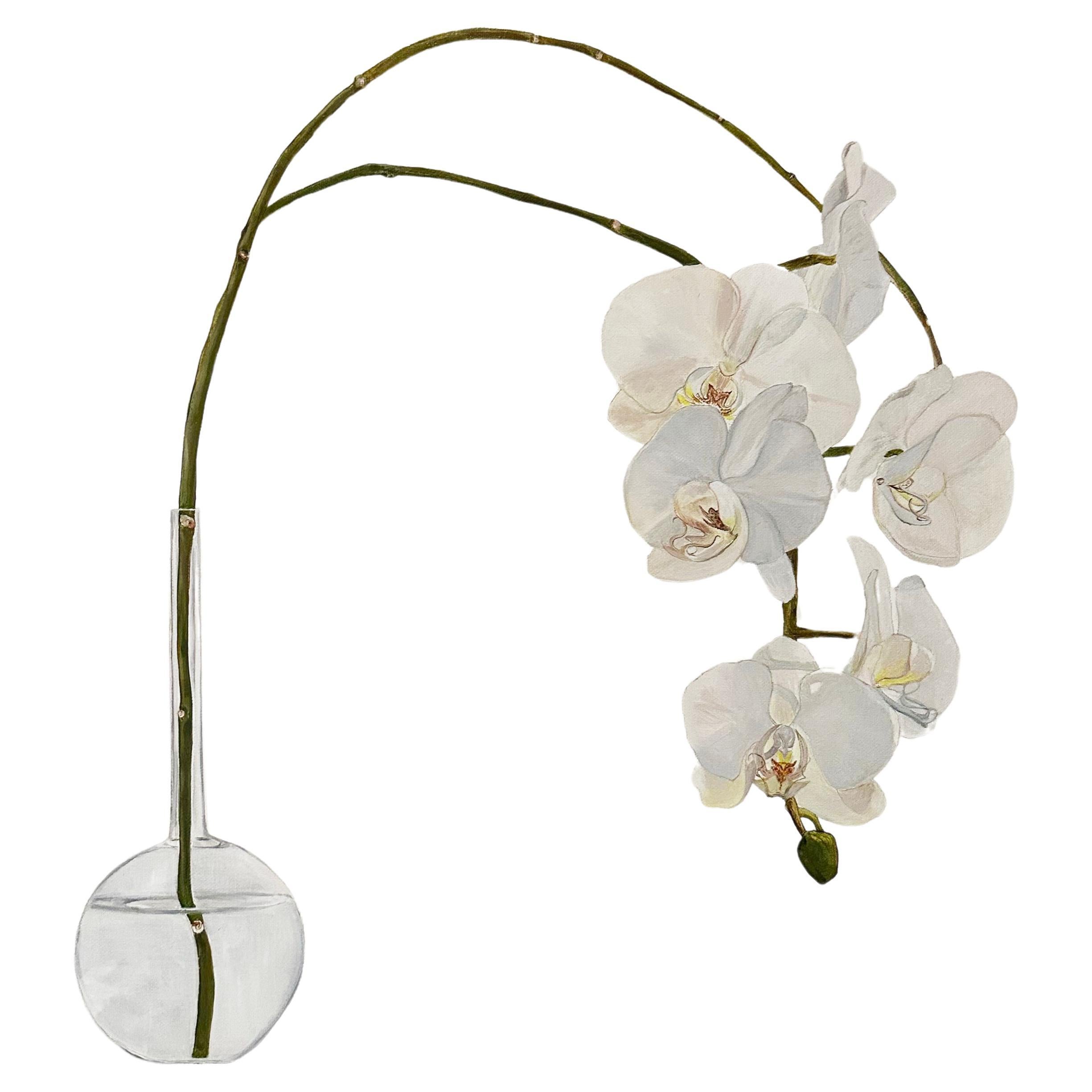 Original botanisches Ölgemälde von Tarn McLean.
Die Orchideenblüte ist zart, exotisch und anmutig. Dieses Gemälde spiegelt eine neutrale Farbpalette wider, die ruhig und friedlich ist, mit einer reduzierten Komposition, die beidseitig ausgeglichen