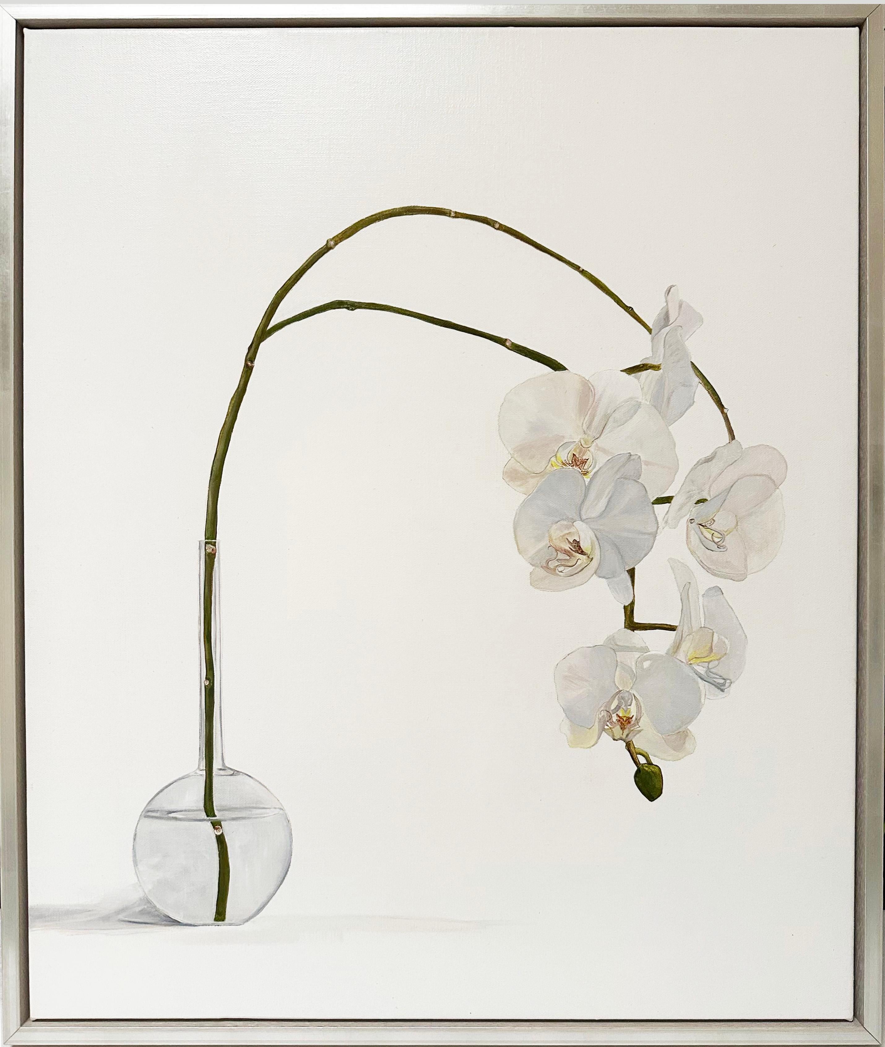Minimalist Orchid Botanical Oil Painting by Australian artist Tarn McLean For Sale