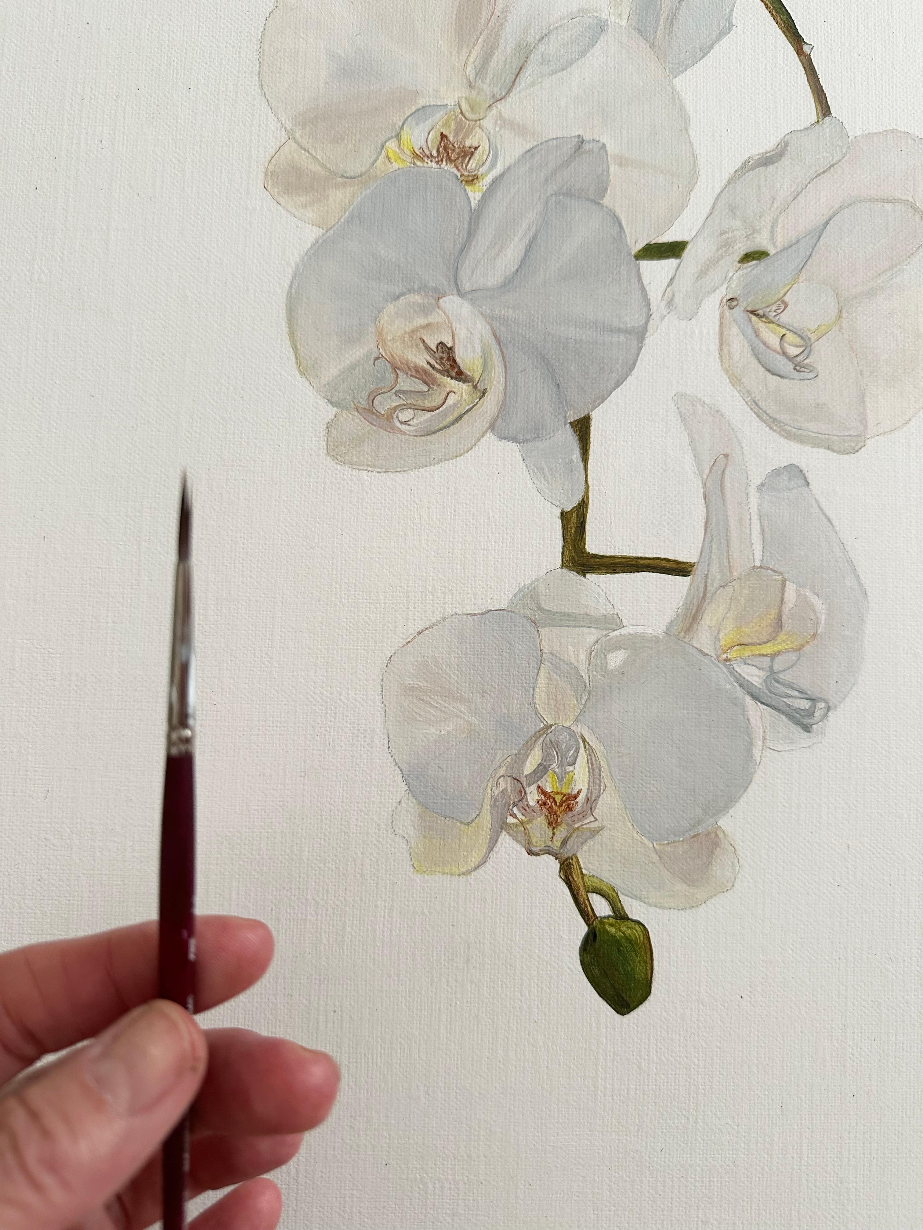 Orchideen botanisches Ölgemälde der australischen Künstlerin Tarn McLean (Australisch) im Angebot