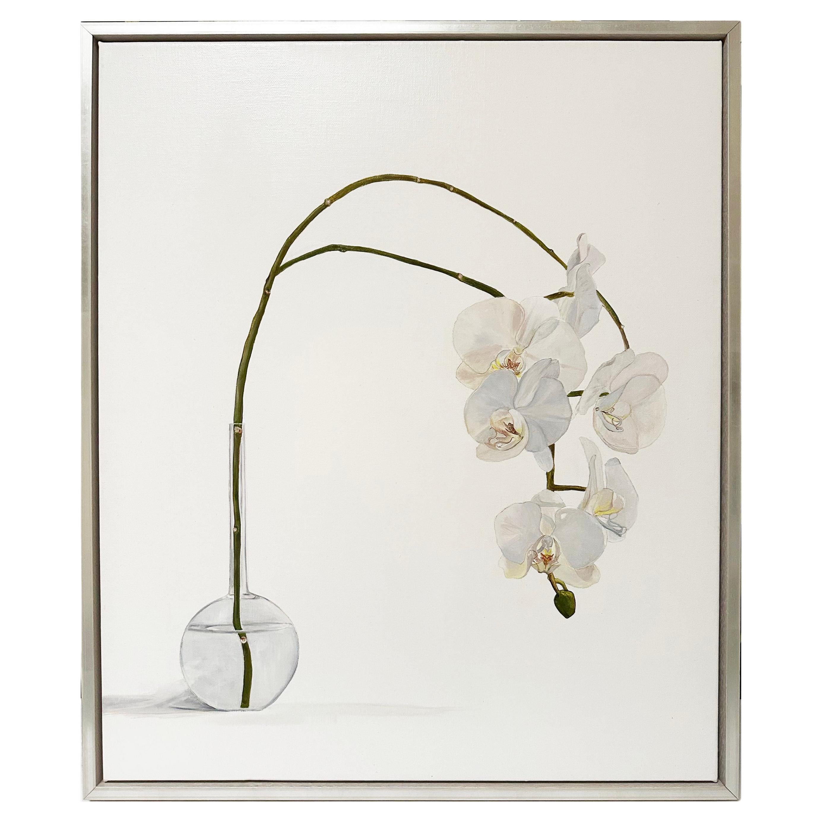 Orchid Botanical Oil Painting by Australian artist Tarn McLean For Sale