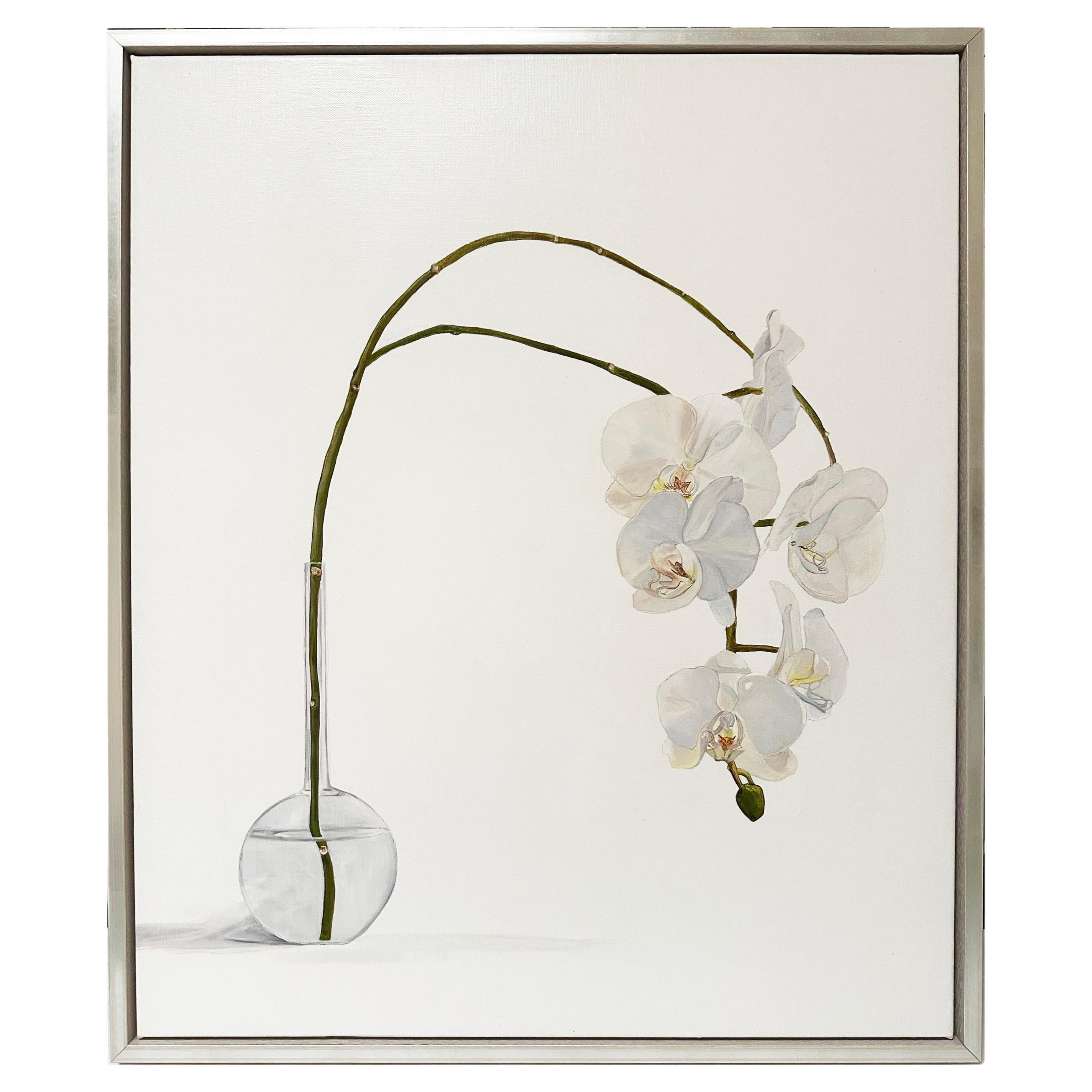 Orchid Botanical Oil Painting by Australian artist Tarn McLean