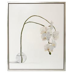 Orchideen botanisches Ölgemälde der australischen Künstlerin Tarn McLean