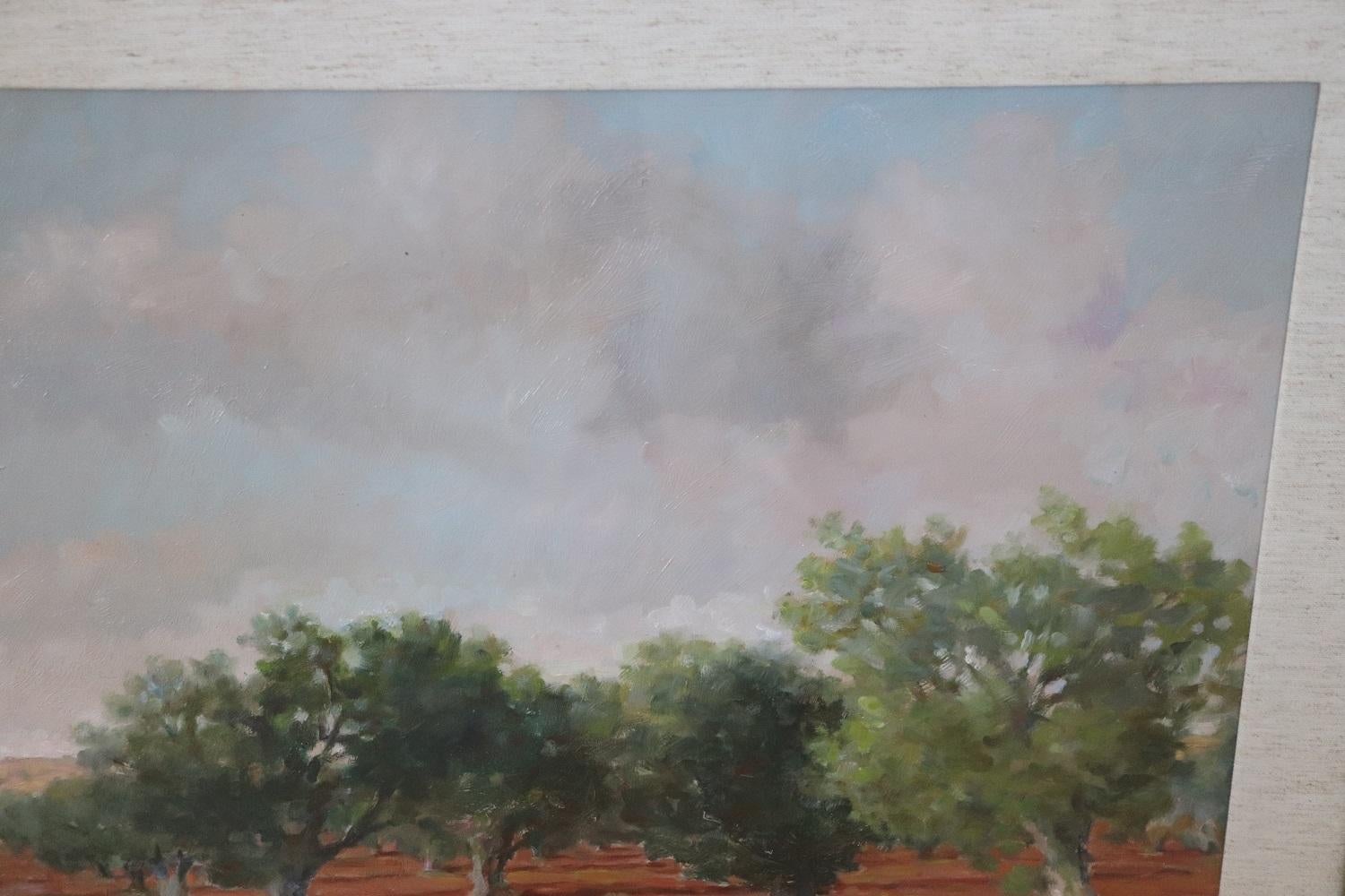 Late 20th Century Oil Painting on Canvas Italian Landscape with Olive Trees, Signed, 1970s For Sale