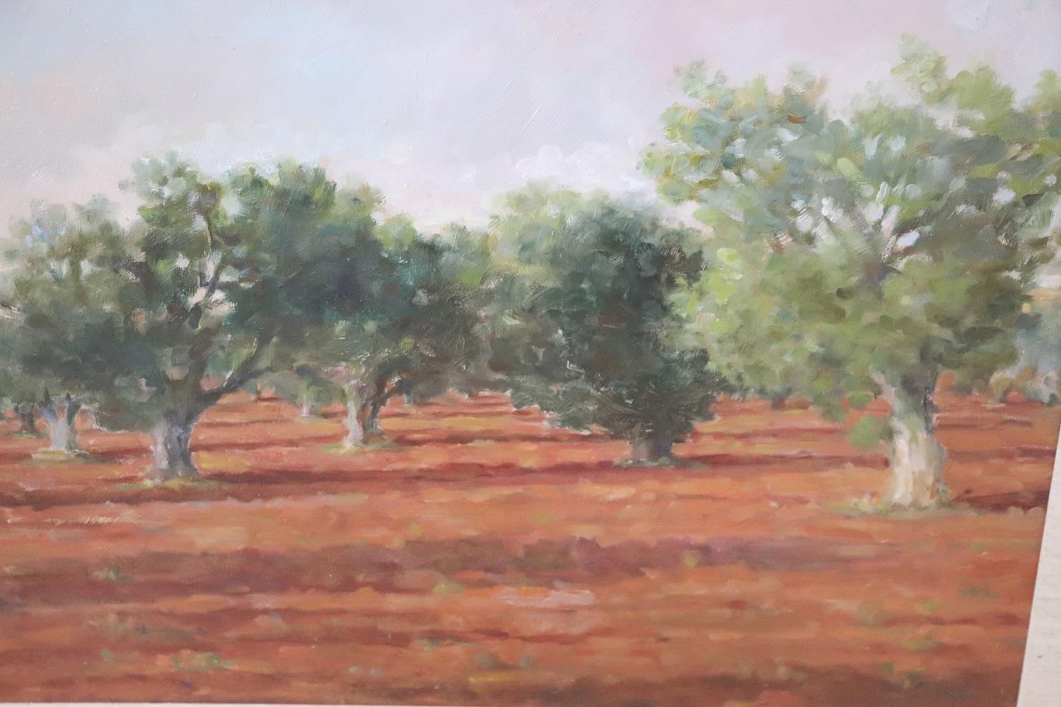 Toile Peinture à l'huile sur toile - Paysage italien avec arbres d'oliviers, signée, 1970 en vente