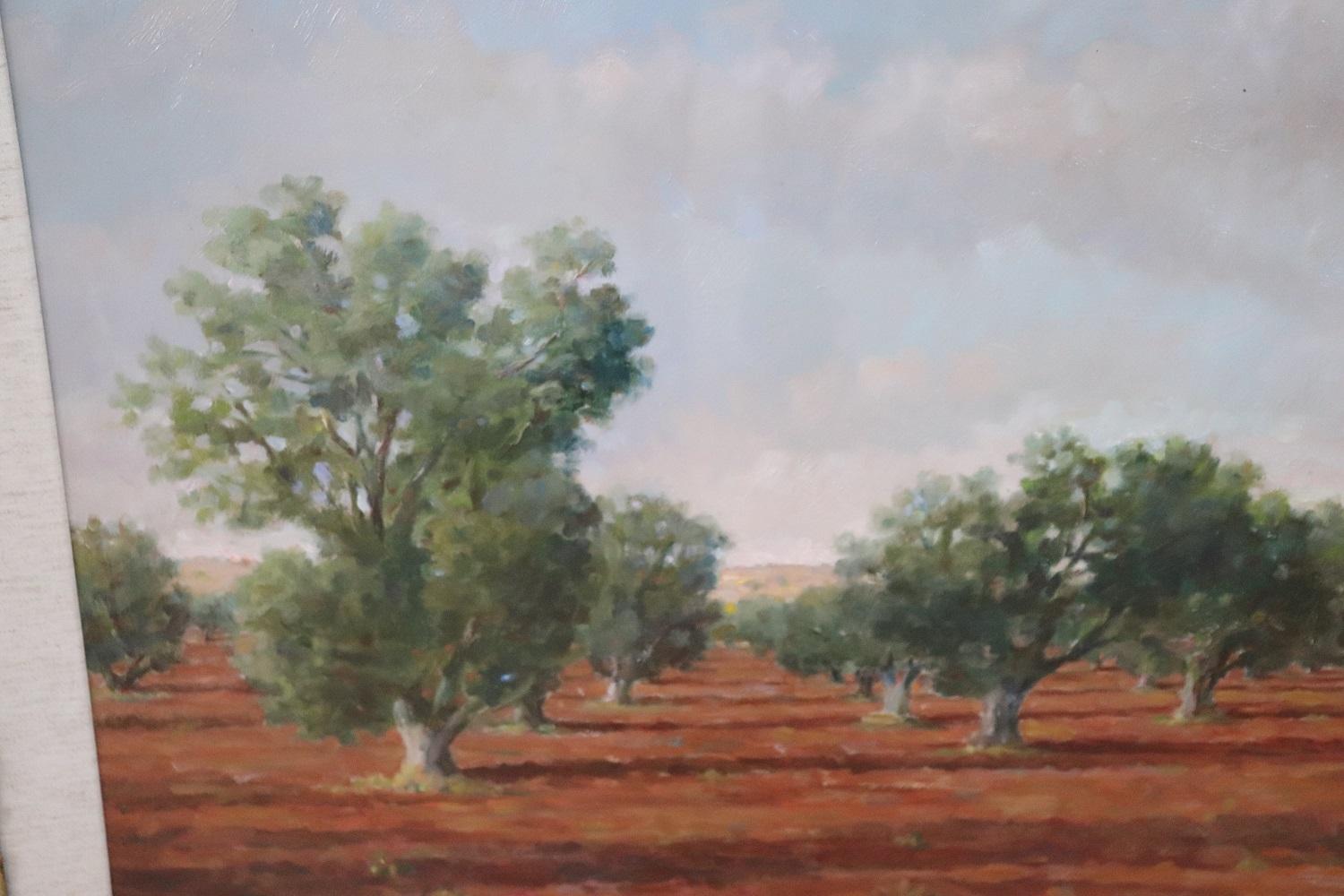 Peinture à l'huile sur toile - Paysage italien avec arbres d'oliviers, signée, 1970 en vente 1