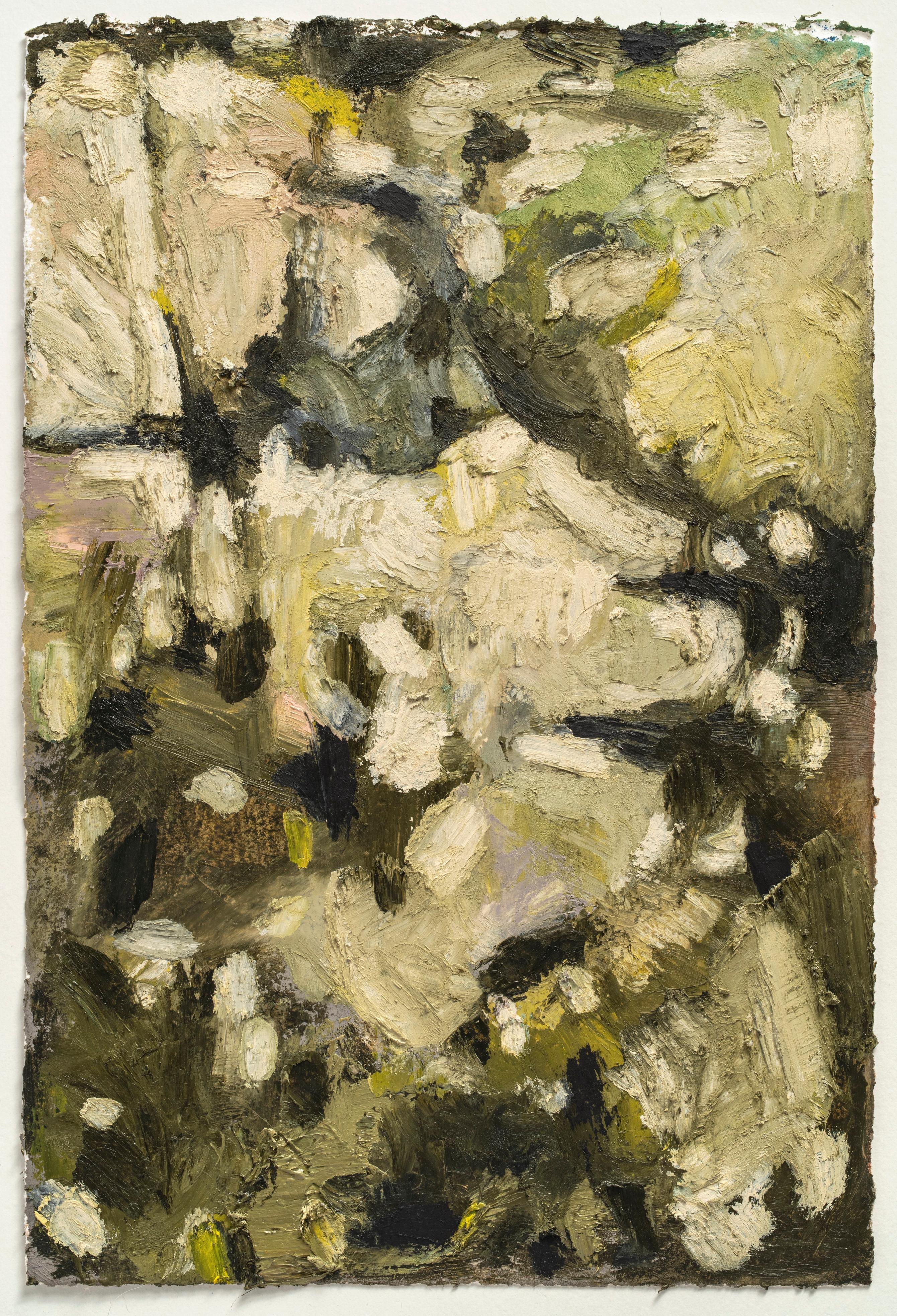 Paul de Pignol wurde 1965 in Toulouse geboren und studierte an der Ecole Nationale Supérieure des Beaux-Arts in Paris im Studio des Malers Pierre Carron. Er lebt und arbeitet zwischen Paris und Montigny-sur-Loing.

Seine erste Skulptur 