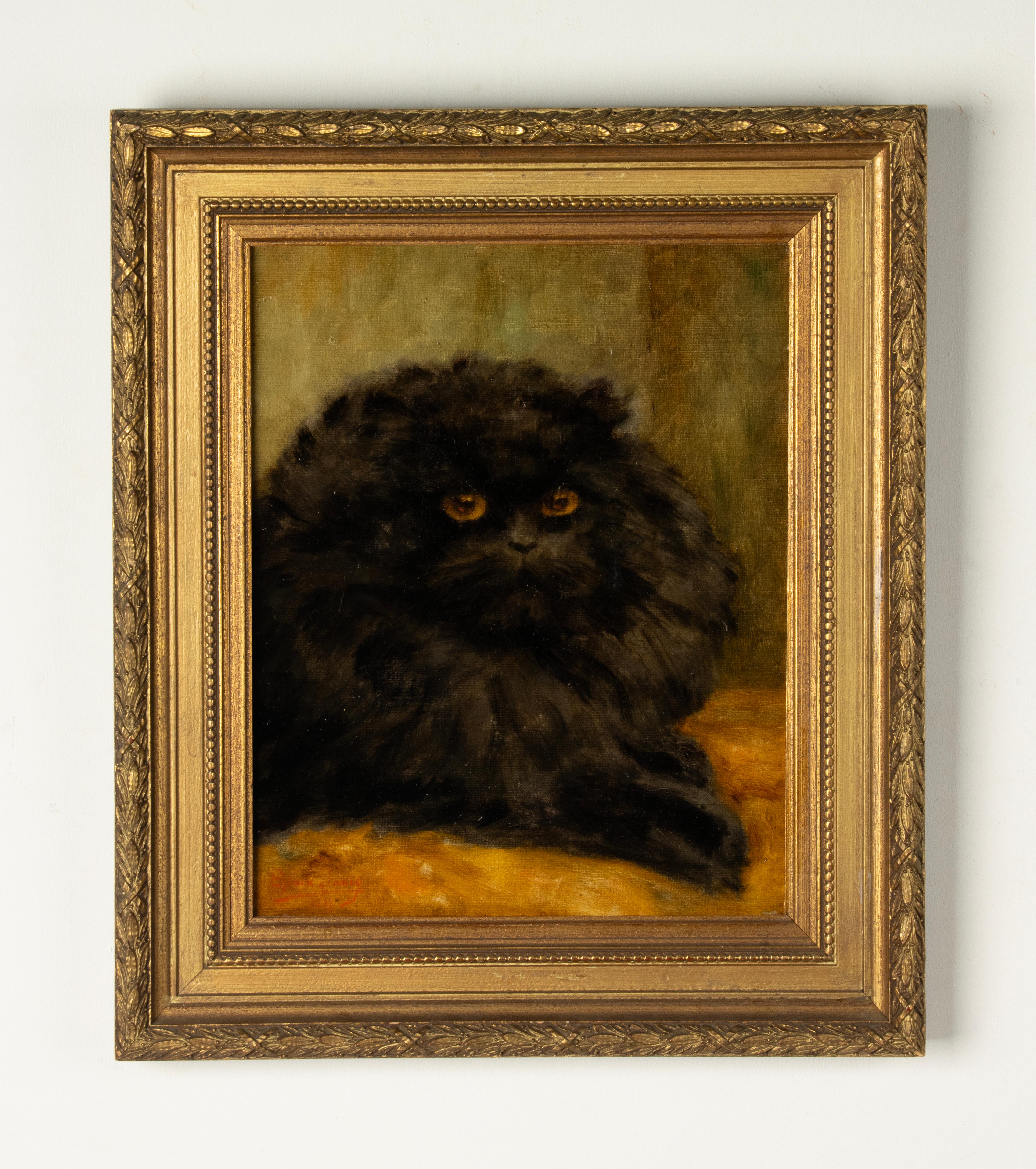 Belgian Oil Painting - Portrait of a Black Persian Cat - Diane Linnig - 1937