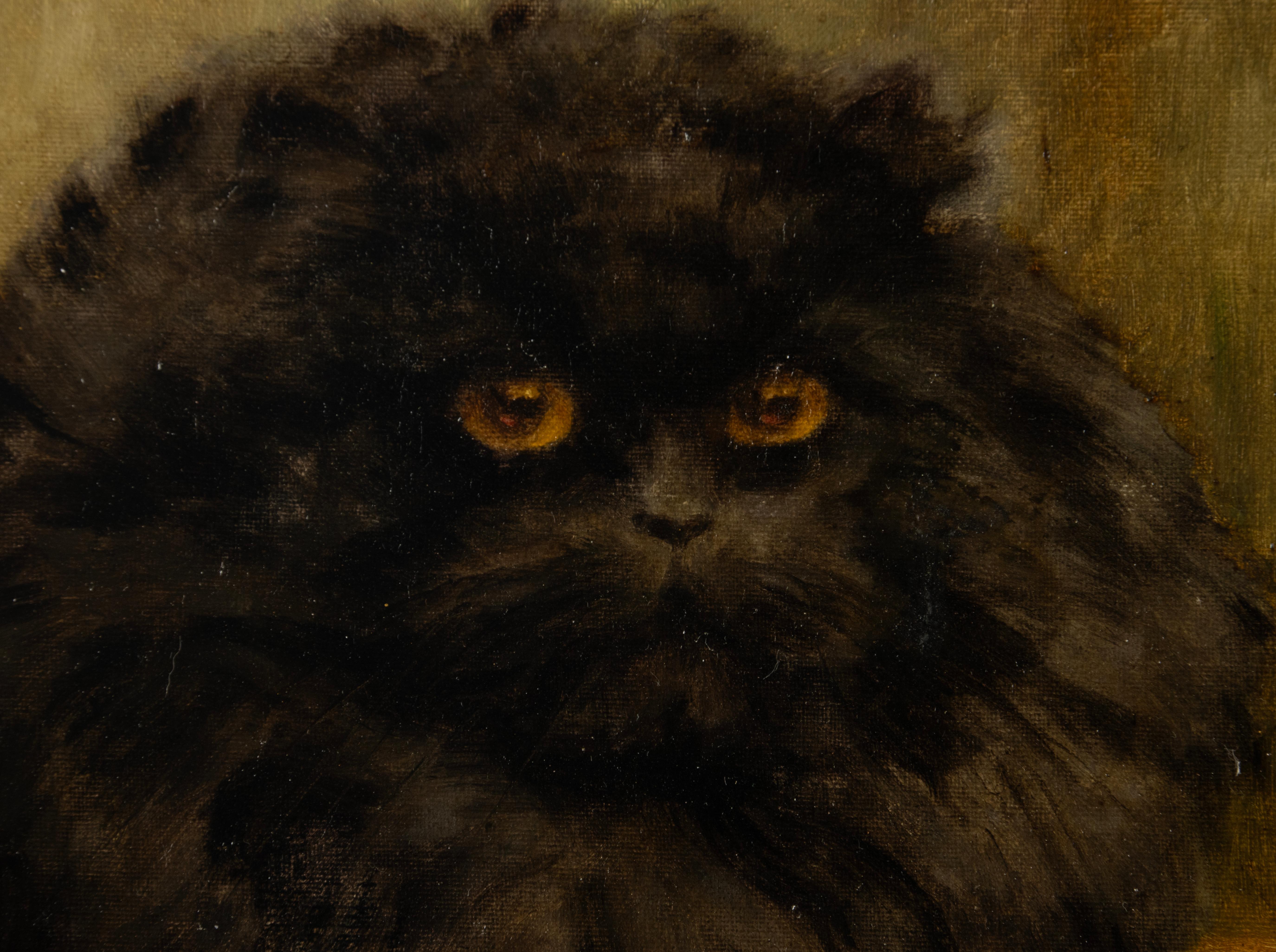 Gesso Oil Painting - Portrait of a Black Persian Cat - Diane Linnig - 1937