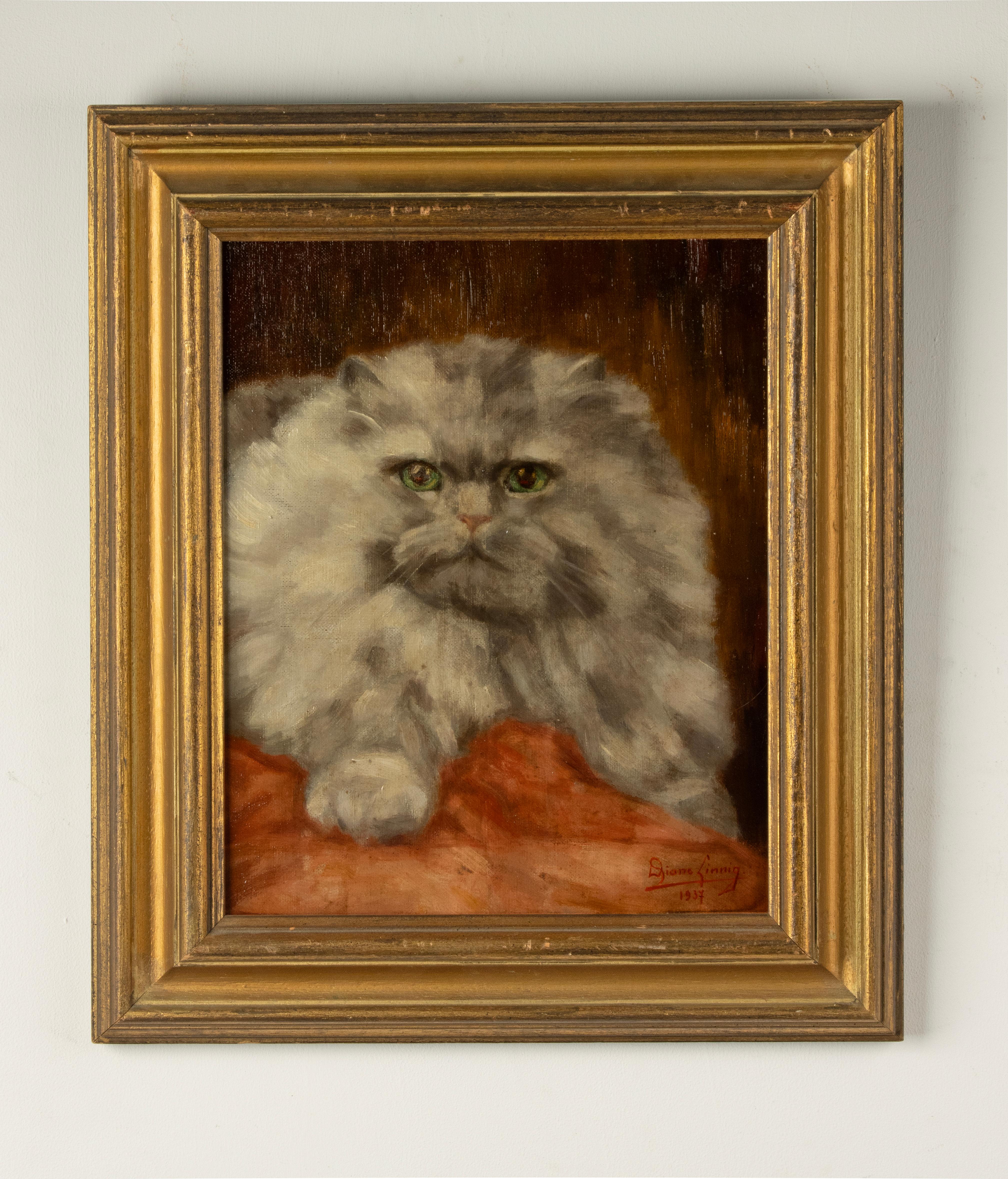 Belge Peinture à l'huile - Portrait d'un chat persan - Diane Linnig - 1937