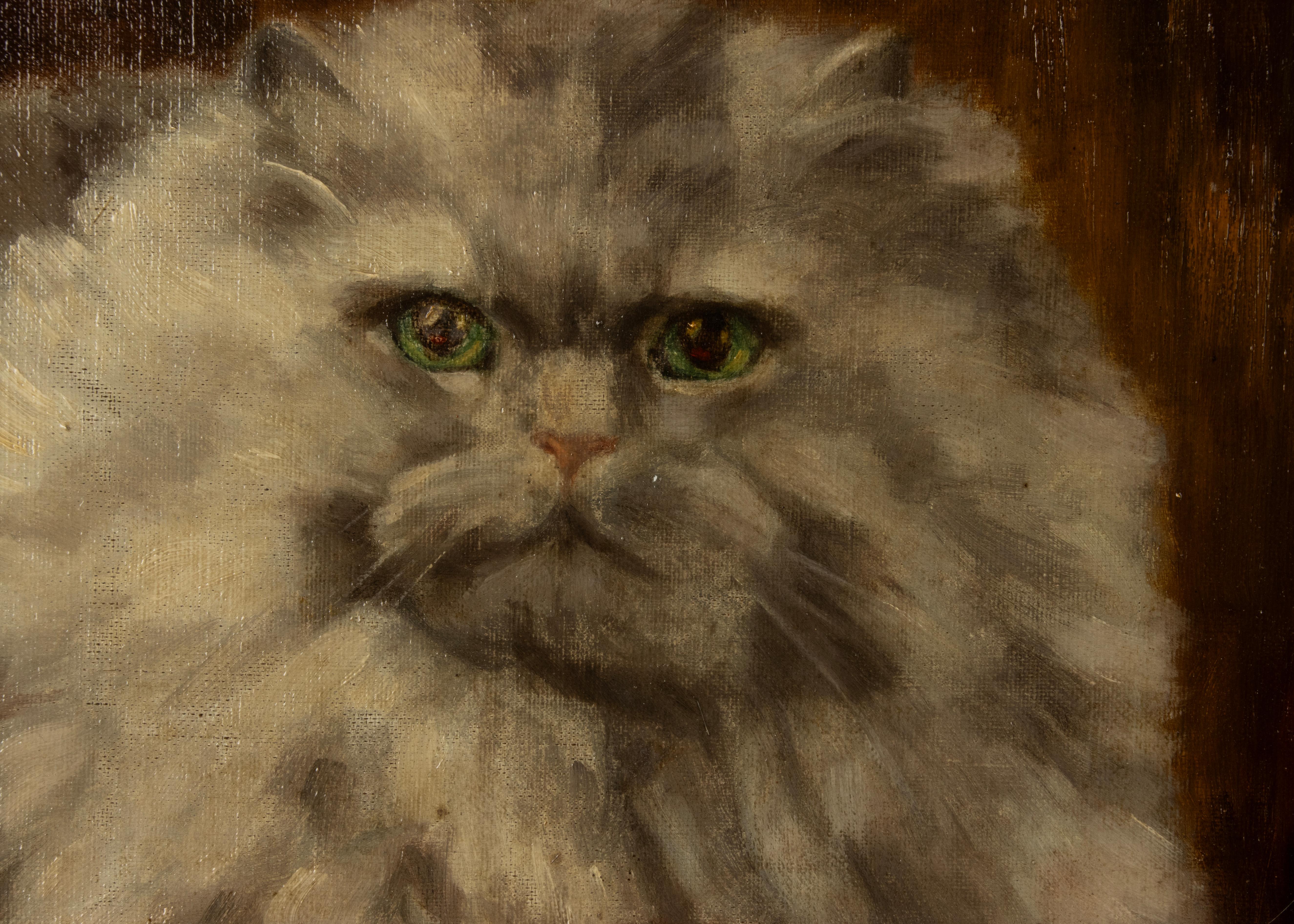 Peinture à l'huile - Portrait d'un chat persan - Diane Linnig - 1937 2
