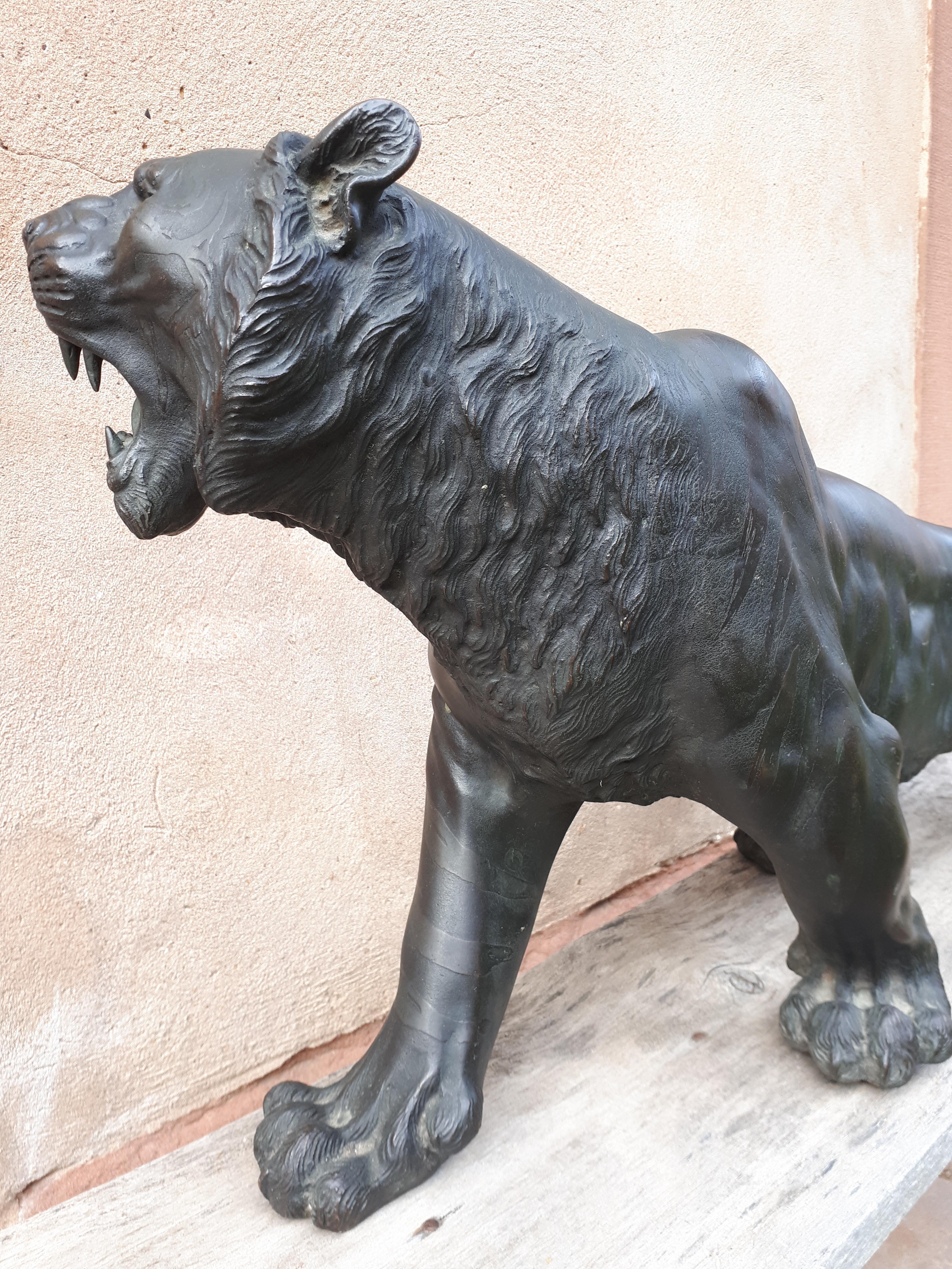 Okimono - Bronze Sculpture Of A Tiger, Japan Meiji Era 4