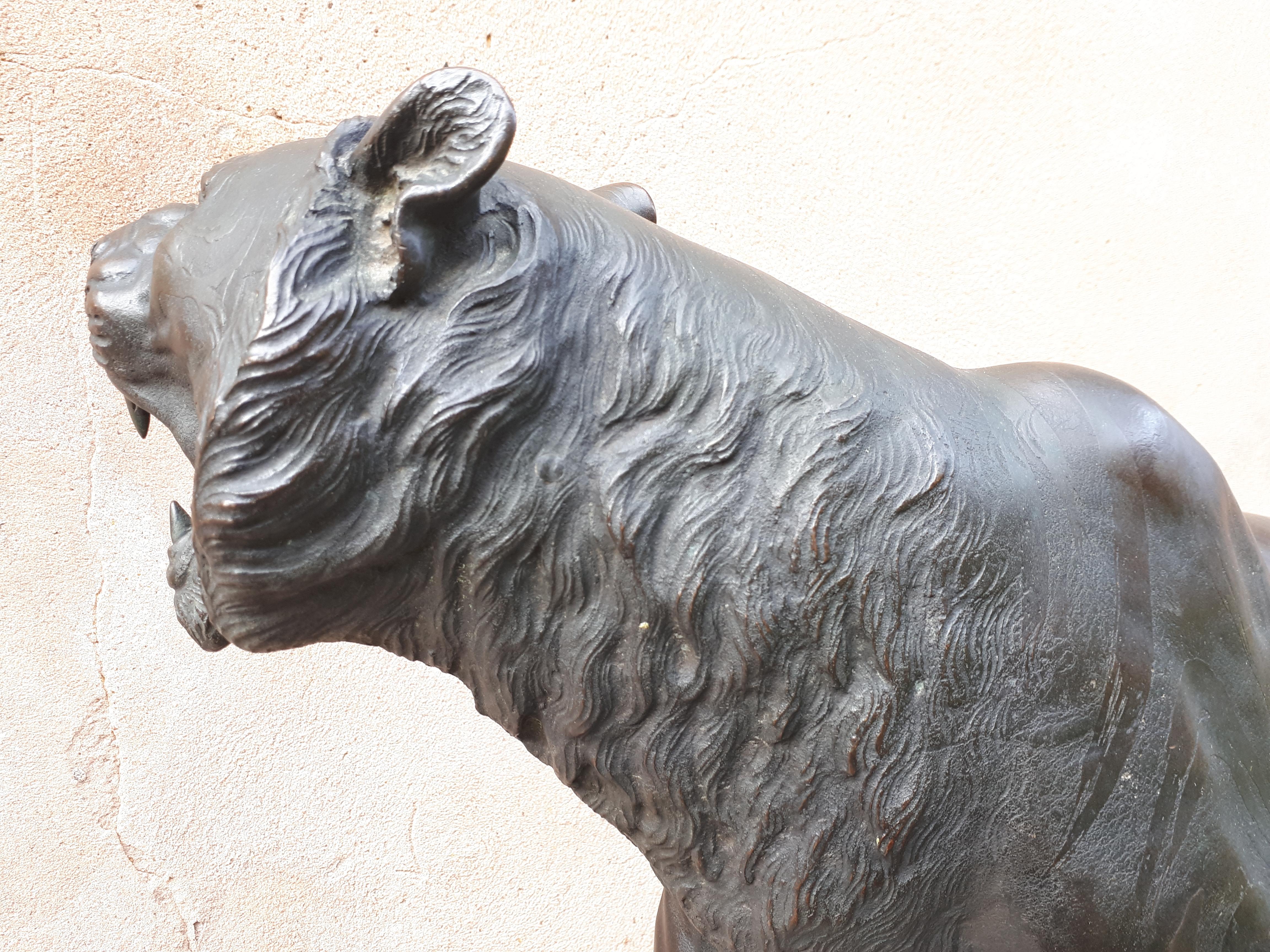 Okimono - Bronze Sculpture Of A Tiger, Japan Meiji Era 5