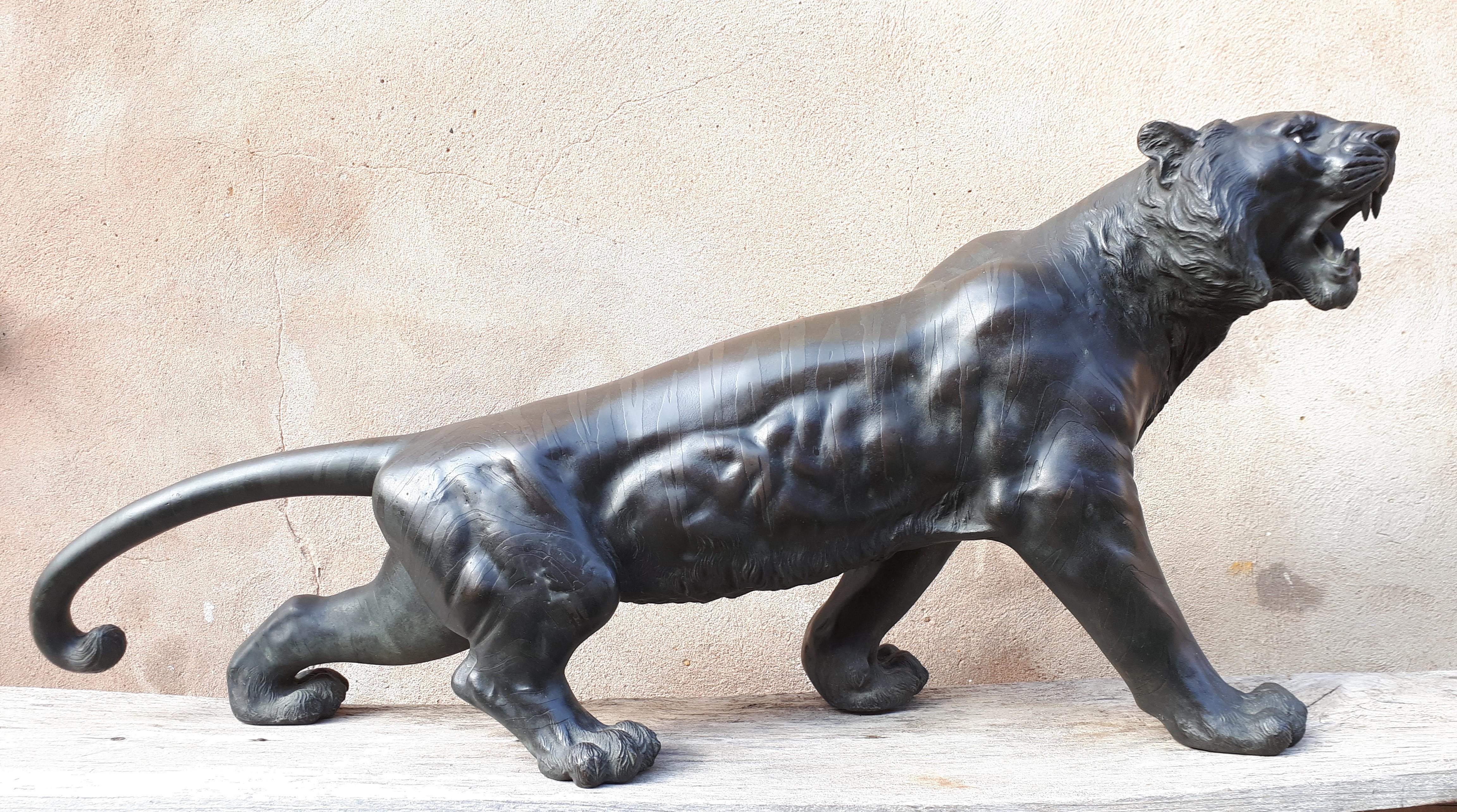 Patinated bronze sculpture representing a roaring tiger, exceptional in its dimensions (108 cm) ! The skin is rendered in great detail and with distinct techniques, including hidden parts, notably the underside of the stomach where the artist's