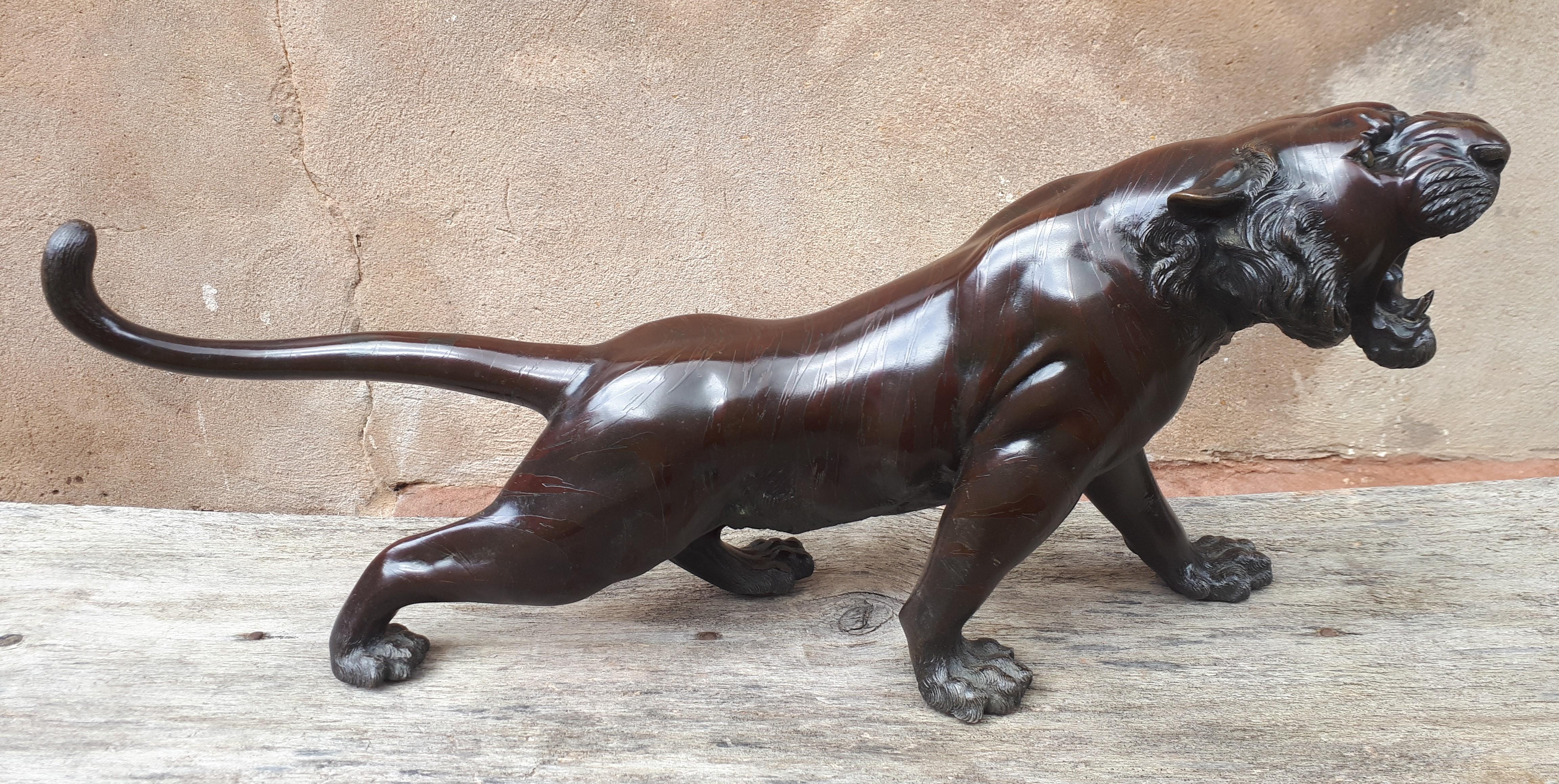 Magnífico okimono de bronce que representa a un tigre rugiendo.
La piel del felino está representada con gran detalle y con técnicas distintas, incluidas las partes ocultas, sobre todo la parte inferior del vientre, donde se encuentra la firma del