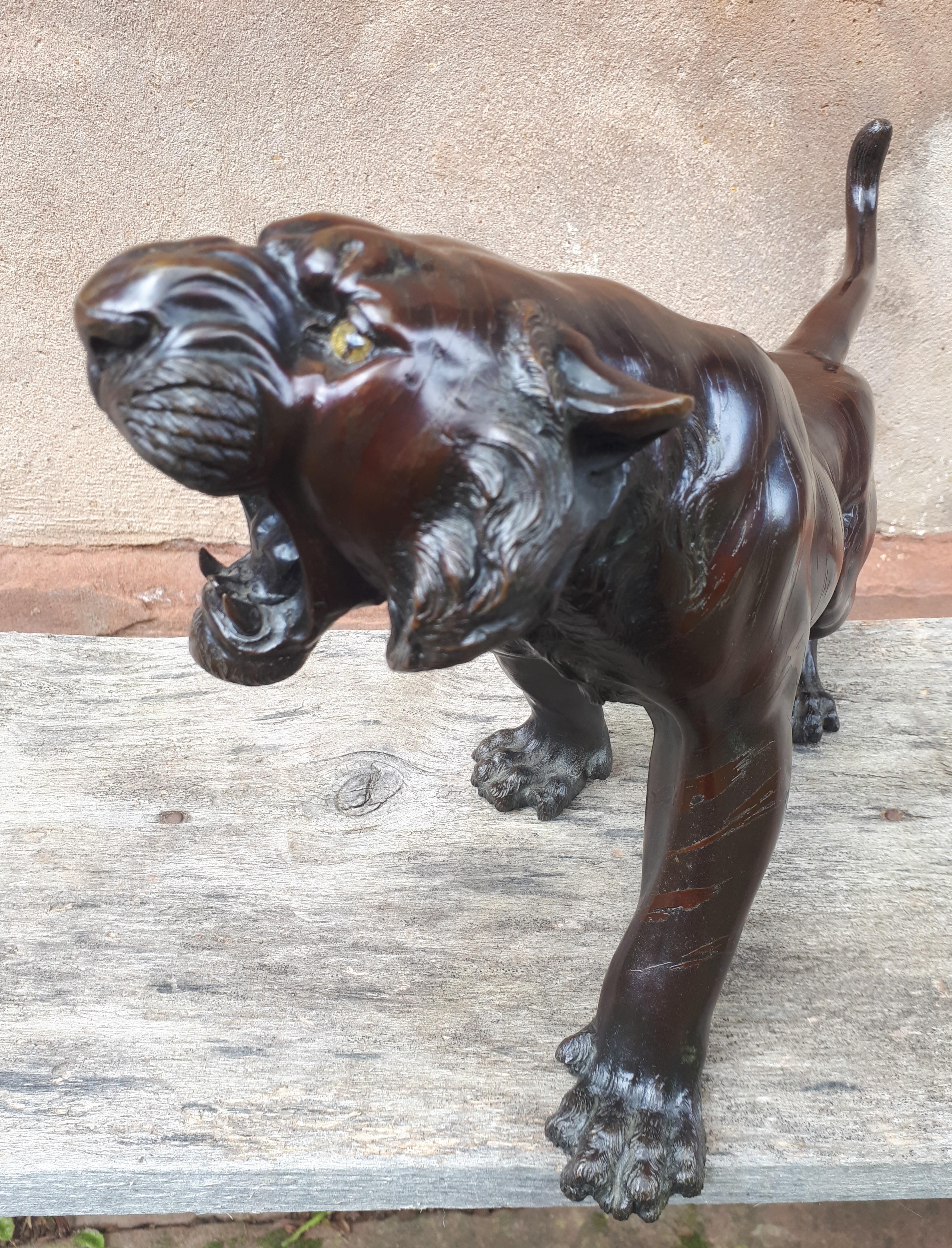 Okimono - Escultura de bronce de un tigre, Japón Era Meiji Bronce en venta