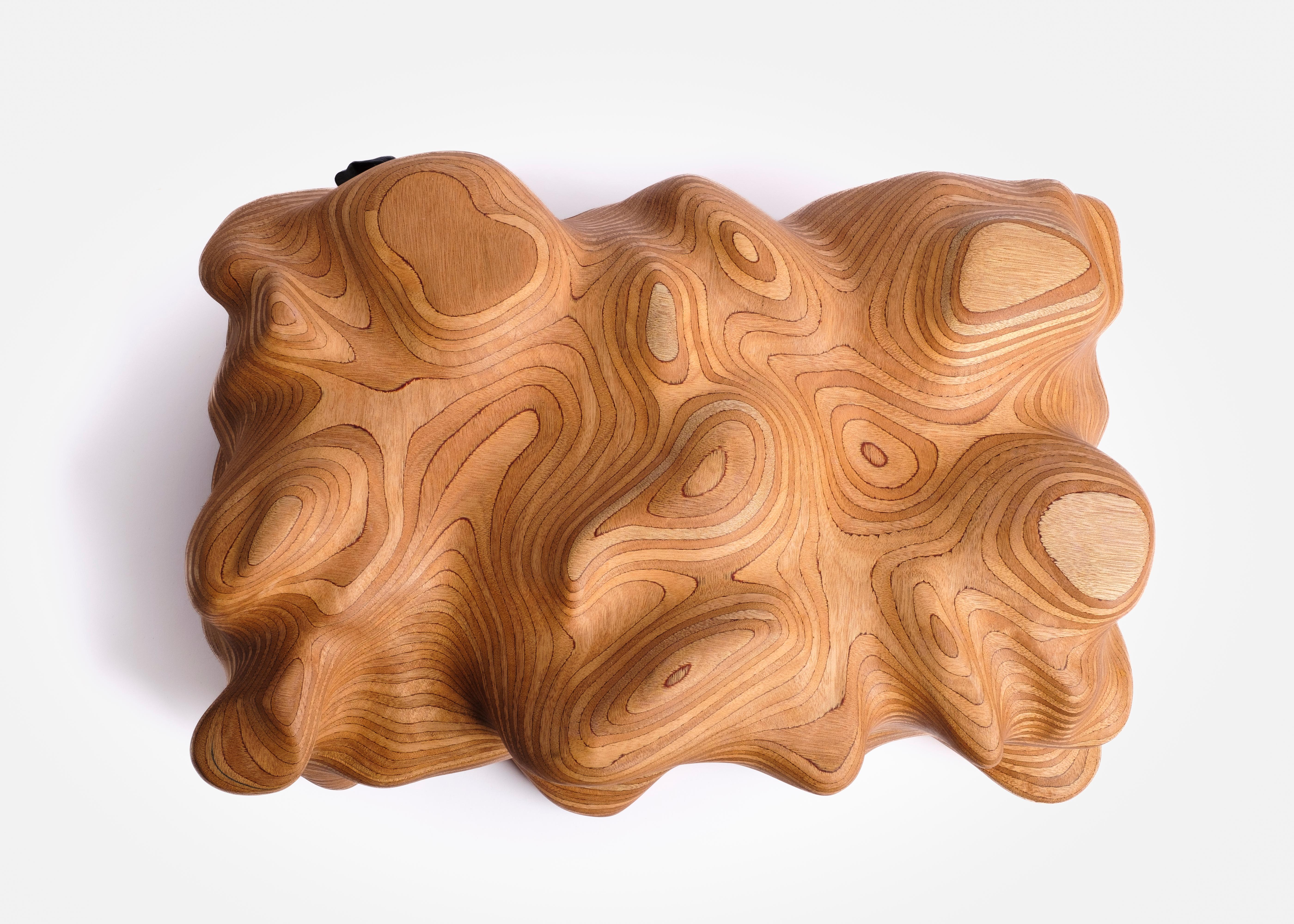 Other Okoume Wooden Box by Studio Gert Wessels For Sale