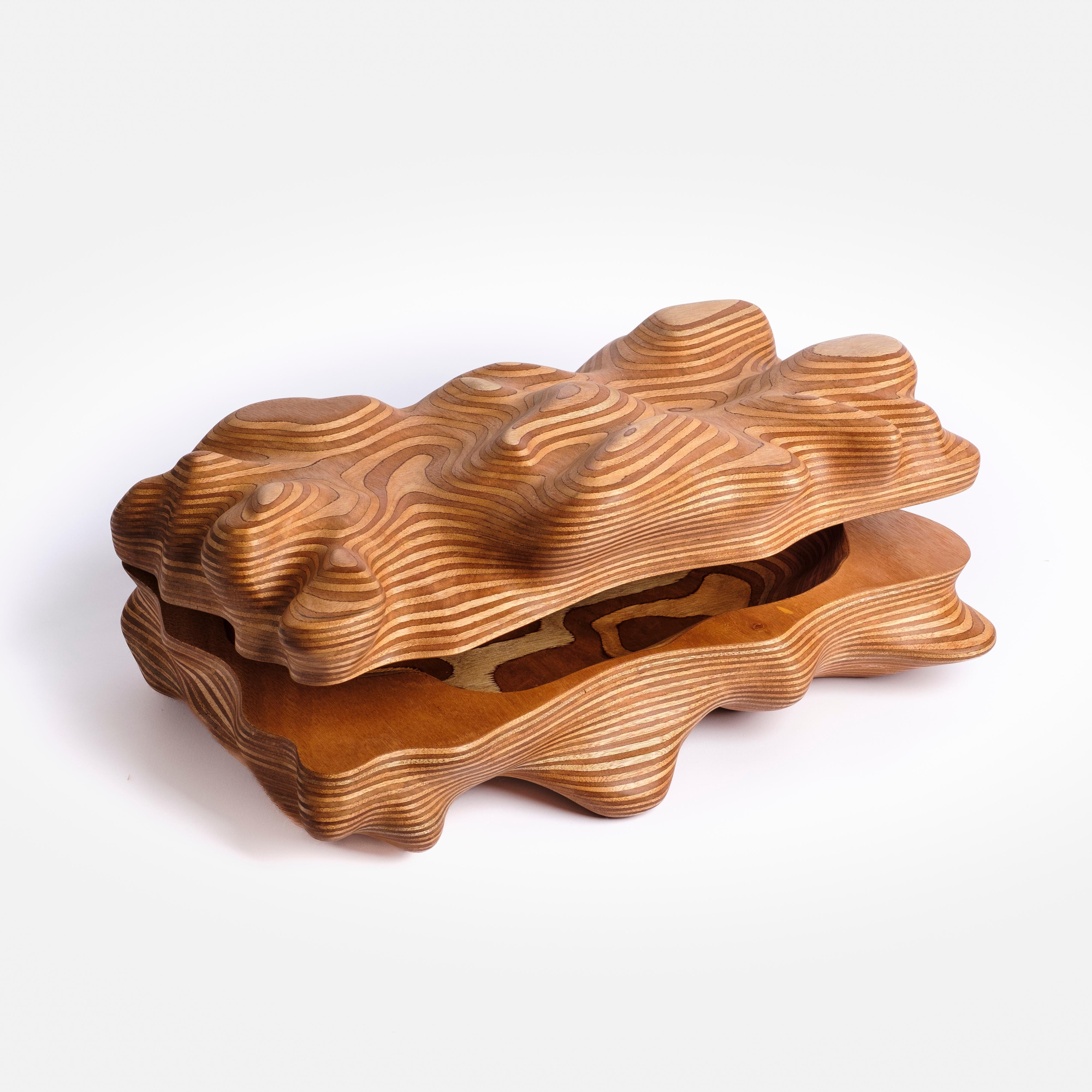 Dutch Okoume Wooden Box by Studio Gert Wessels For Sale