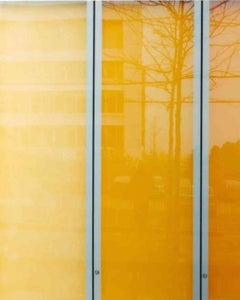 Composition with a Tree, Archival Inkjet Print, Signed, Edition 1/3