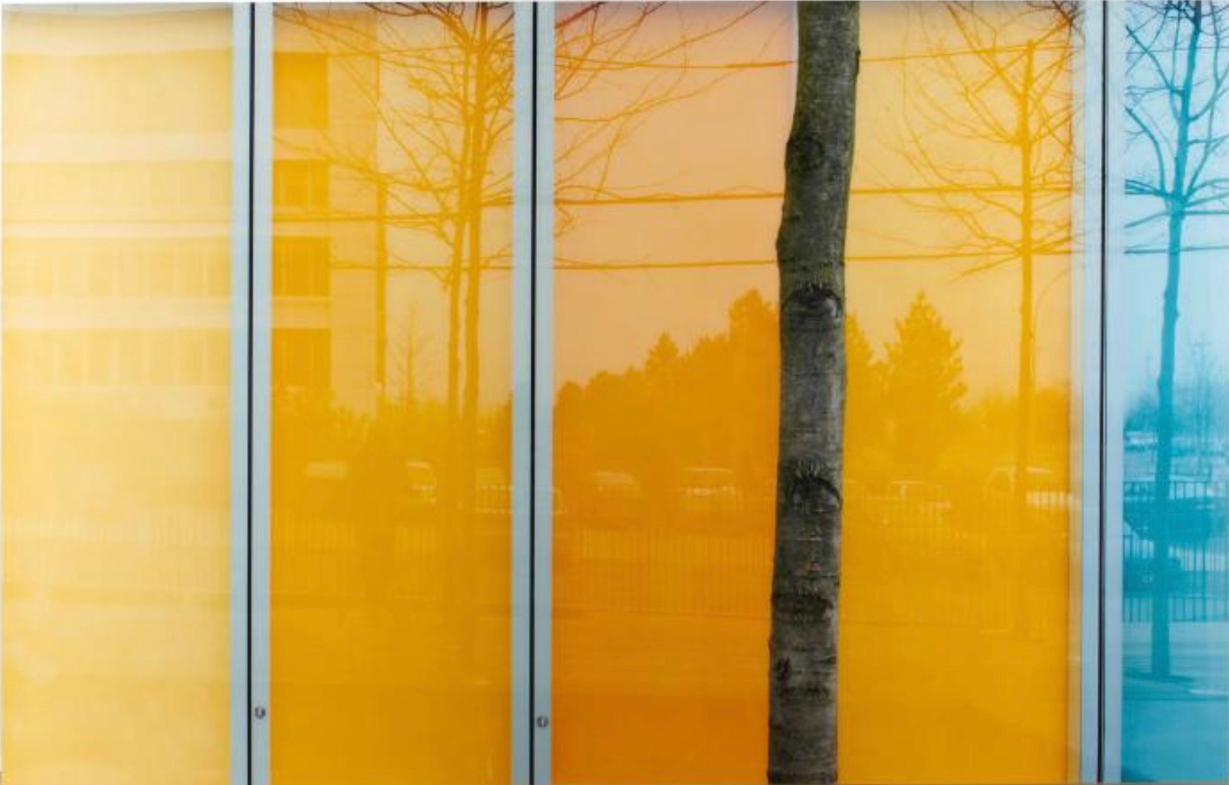Color Photograph di Ola Kolehmainen - Composizione con un albero, stampa a getto d'inchiostro d'archivio, firmata, edizione 1/3