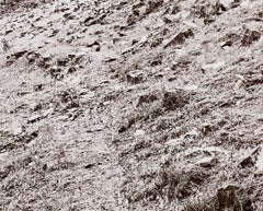 Öl auf Leinwand Nr. 2 Armenischer Palast Ola Kolehmainen, Zeitgenössische Fotografie