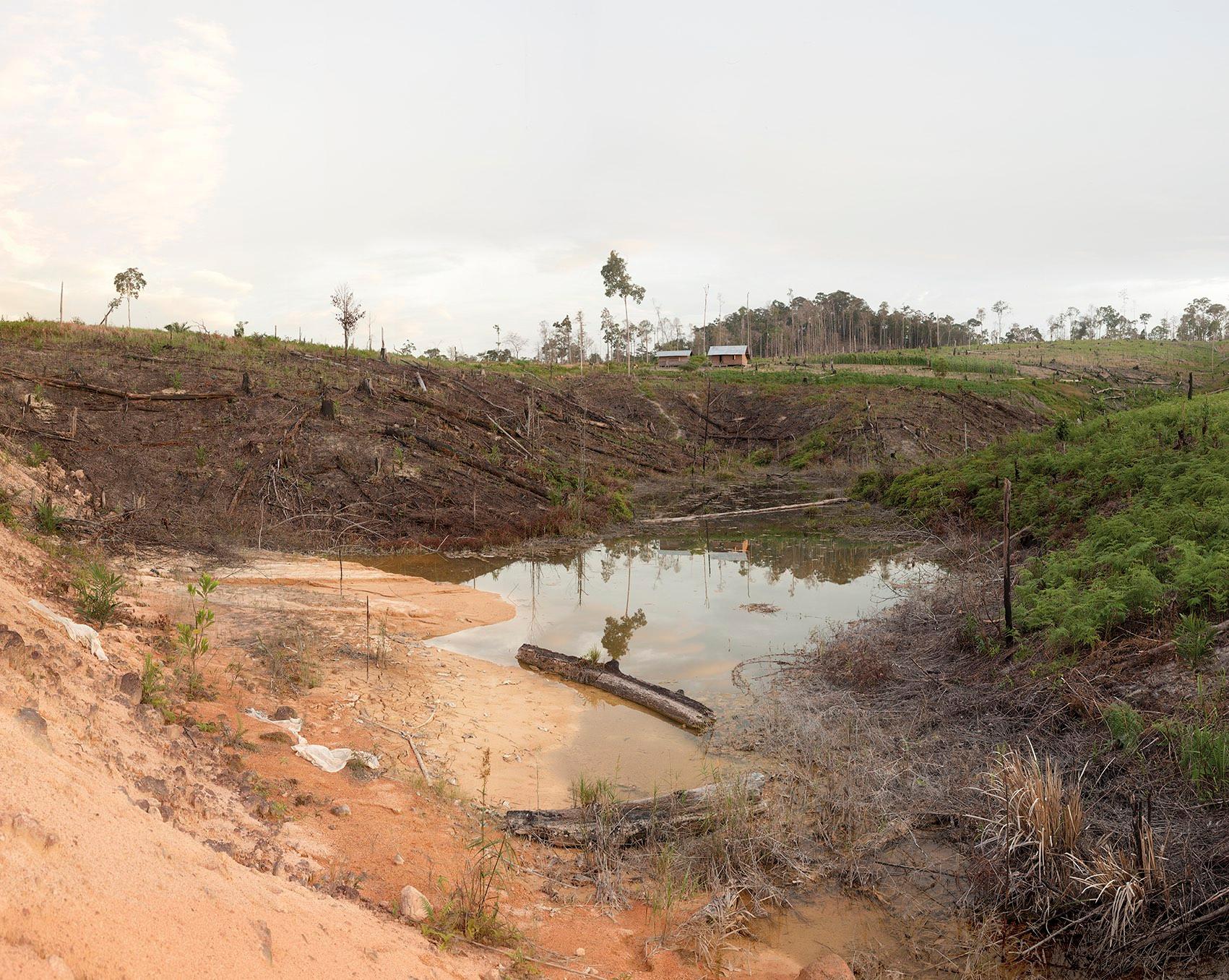 After Deforestation, Central Kalimantan 03/2012
Olaf Otto Becker
Signed on reverse
Archival pigment print

Available in three sizes:
24 3/4 x 29 1/2 inches – edition of 5
43 1/2 x 54 1/4 inches – edition of 5
58 3/4 x 71 inches – edition of 2

Ever