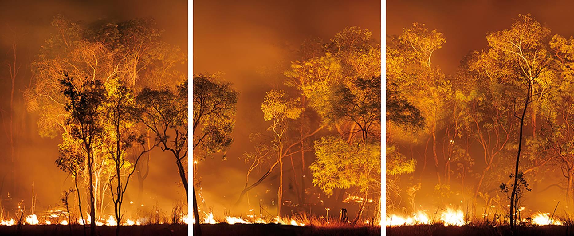 Olaf Otto Becker Landscape Print - Bushfire Lit to Clear Land, Australia, 2008
