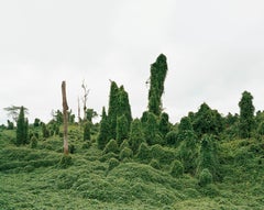 Des arbres fantômes après la déforestation, Malaisie 10/2012 - Olaf Otto Becker