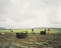 Ernte der Grasnarbe 2002, Contemporary Landscape Photography