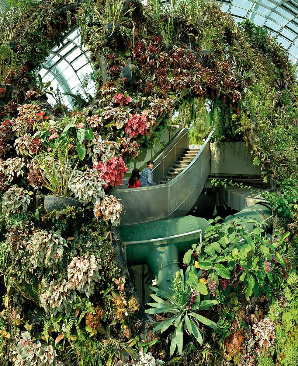 Landscape Print Olaf Otto Becker - Trail de la nature, Gardens by the Bay, Singapour, 10/2013
